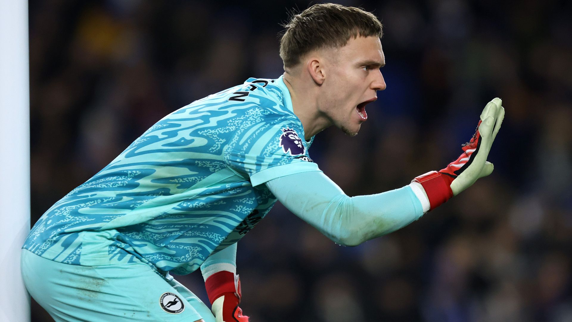 BART VERBRUGGEN BRIGHTON