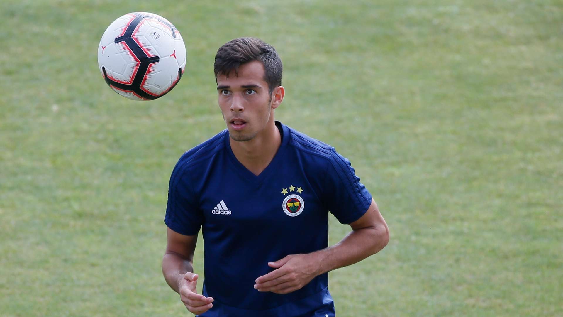 Baris Alici Fenerbahce
