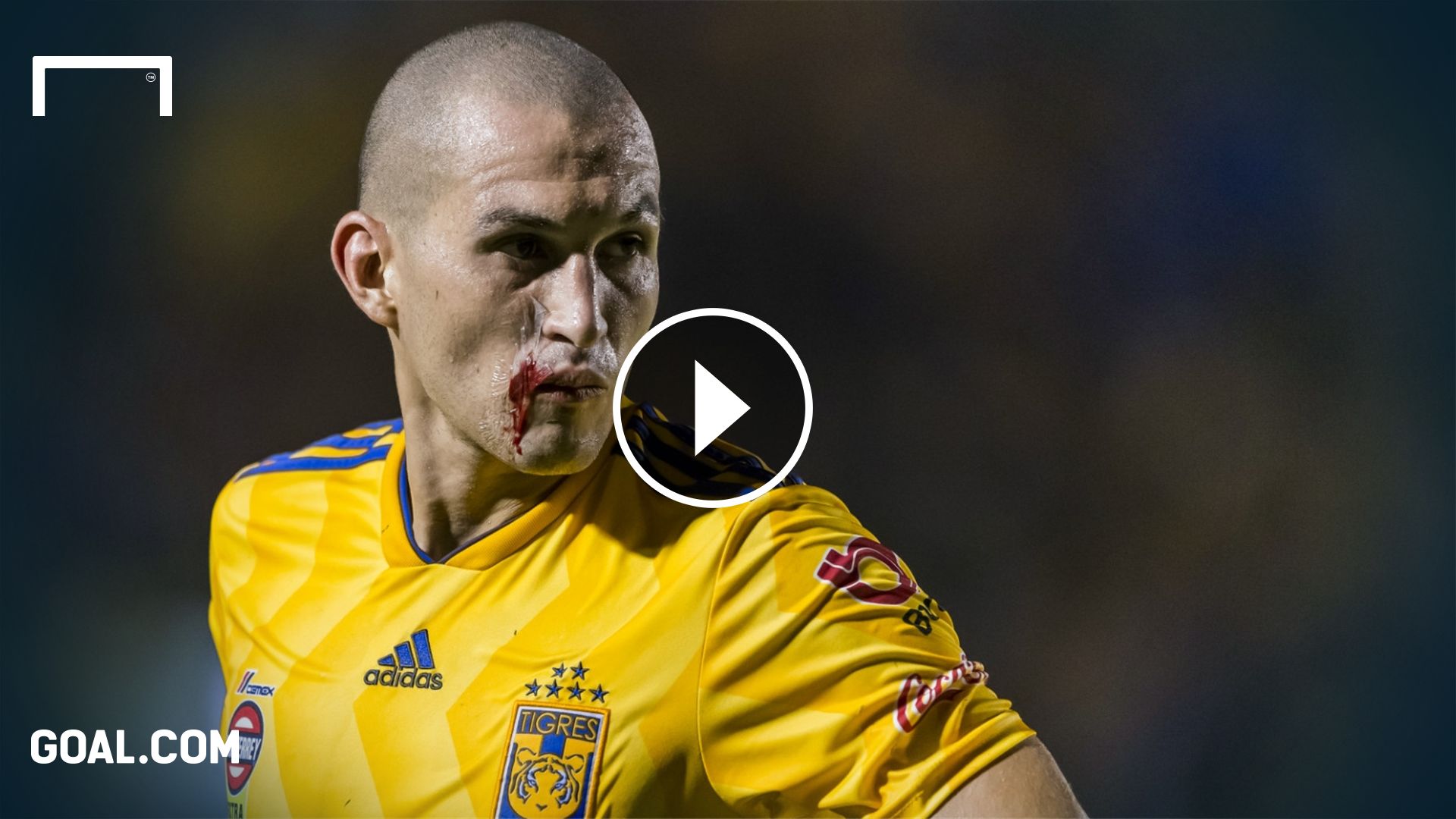 GFX Video Liga MX Tigres