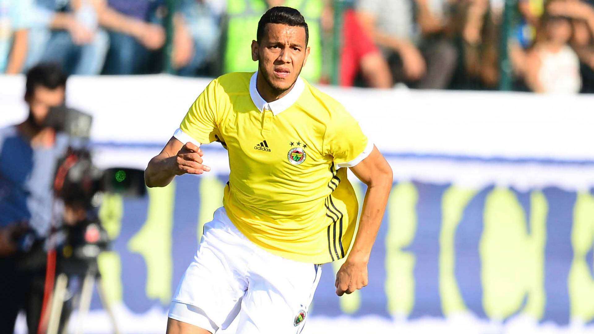 Josef de Souza Fenerbahce