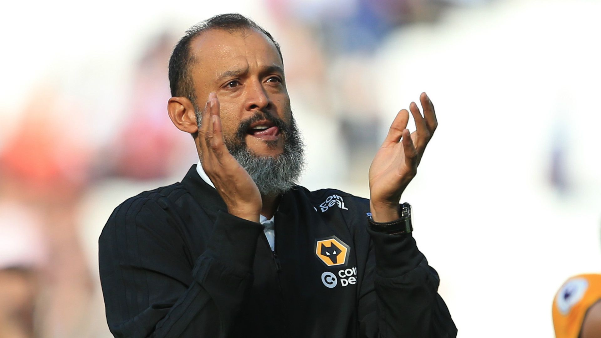 Nuno Espirito Santo Wolves 2018-19