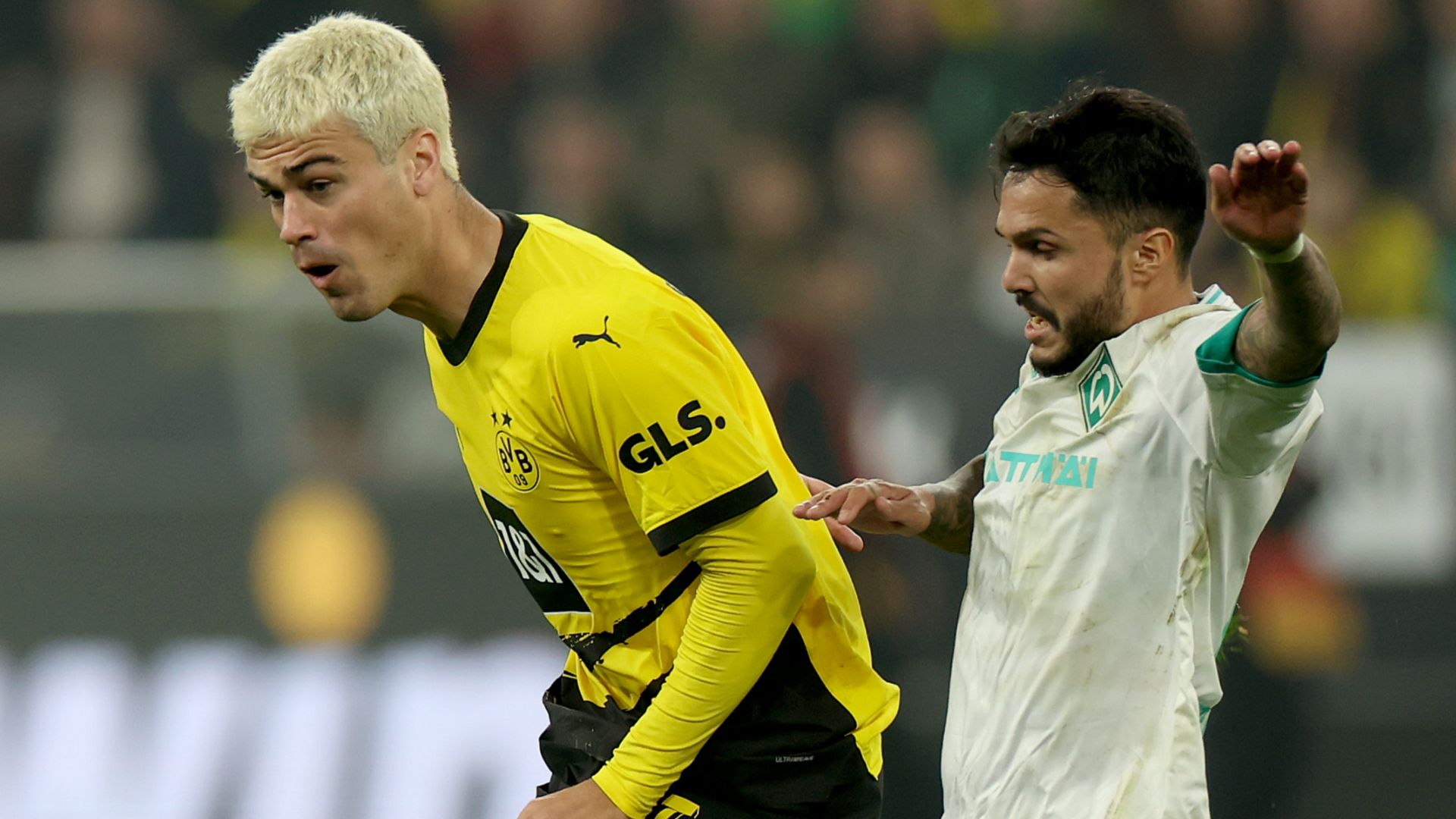 Gio Reyna Borussia Dortmund 2023-24