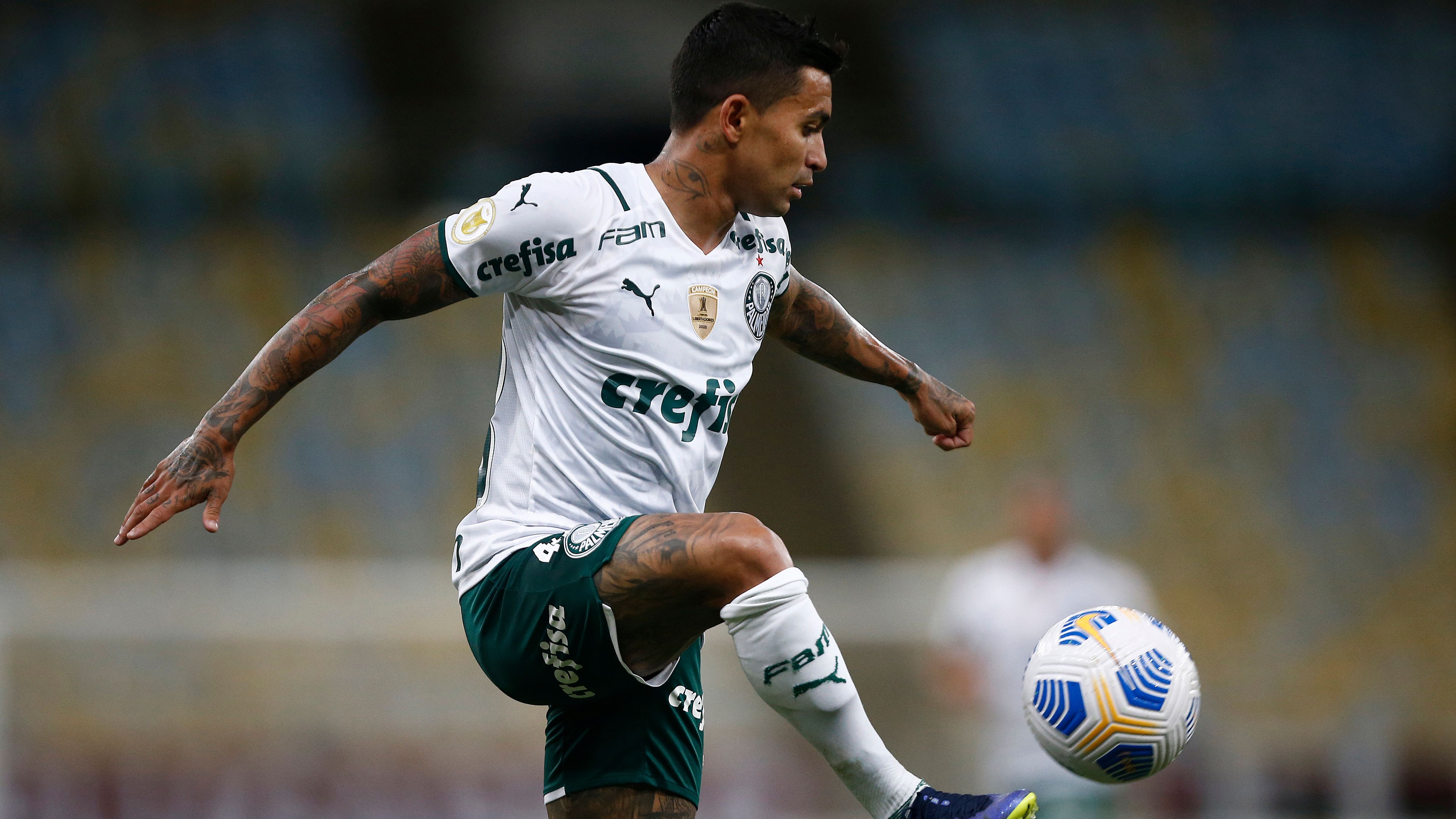 Dudu x Abel Ferreira: possível reserva e desgaste com técnico motivaram pedido para sair do Palmeiras-Vitória dos dados