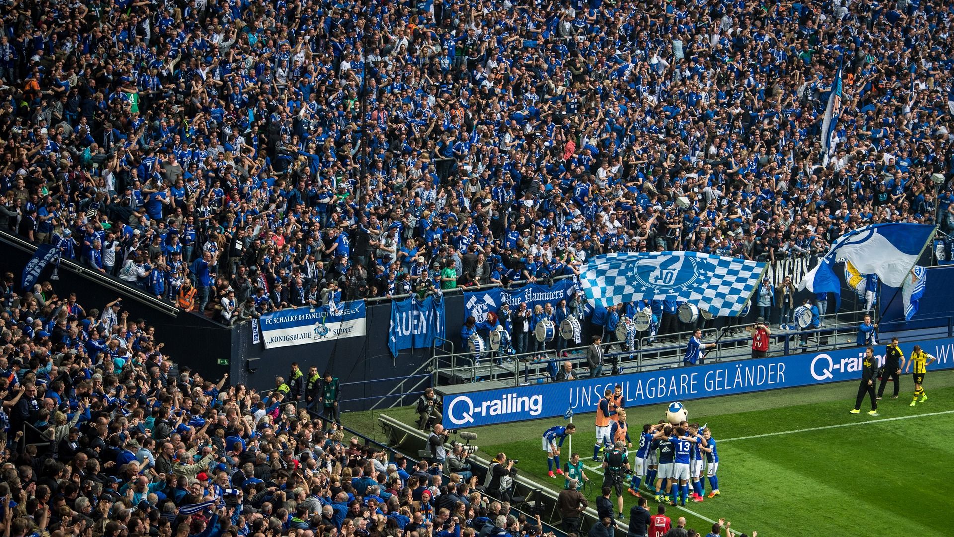 Schalke fans