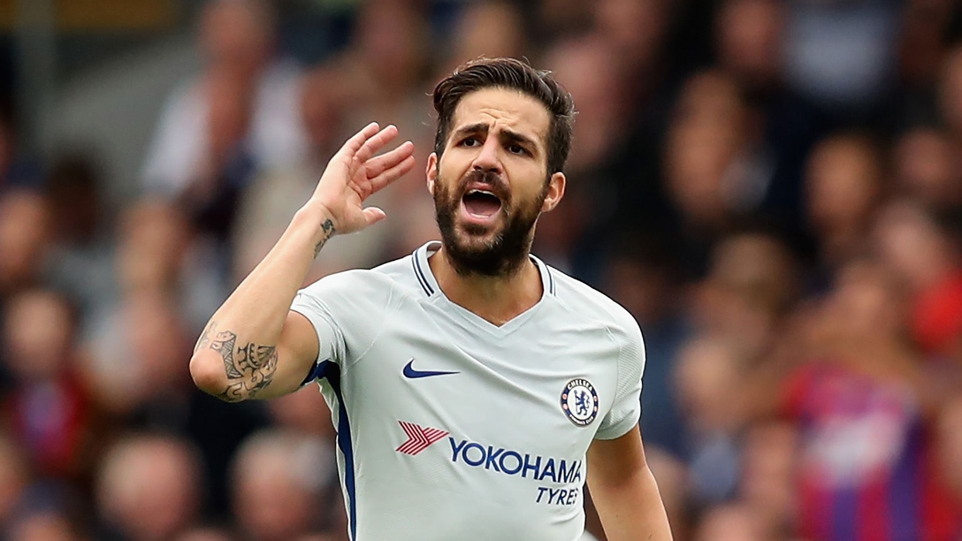 Cesc Fabregas Chelsea Crystal Palace