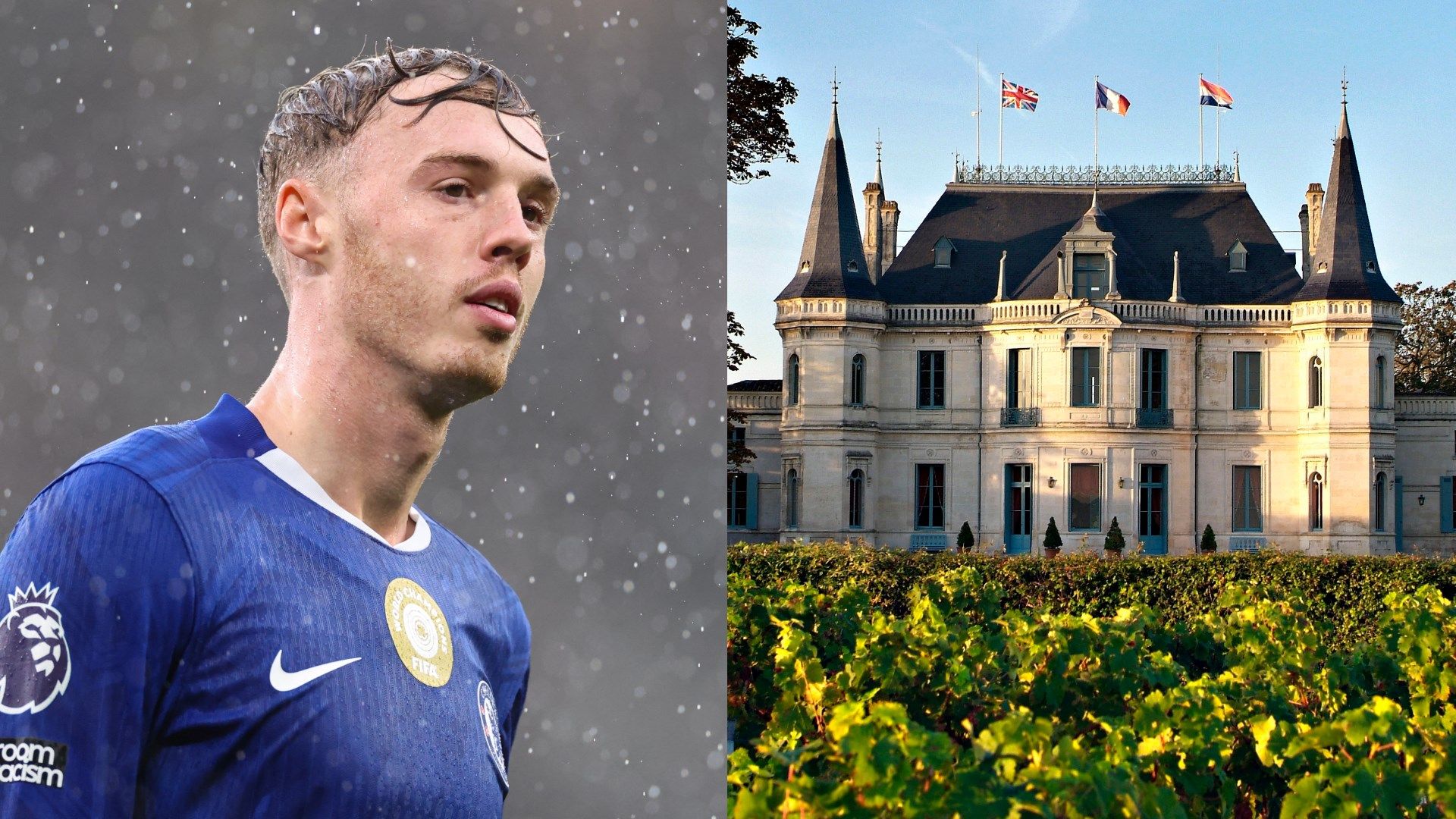 Cole Palmer Chataeu Palmer 