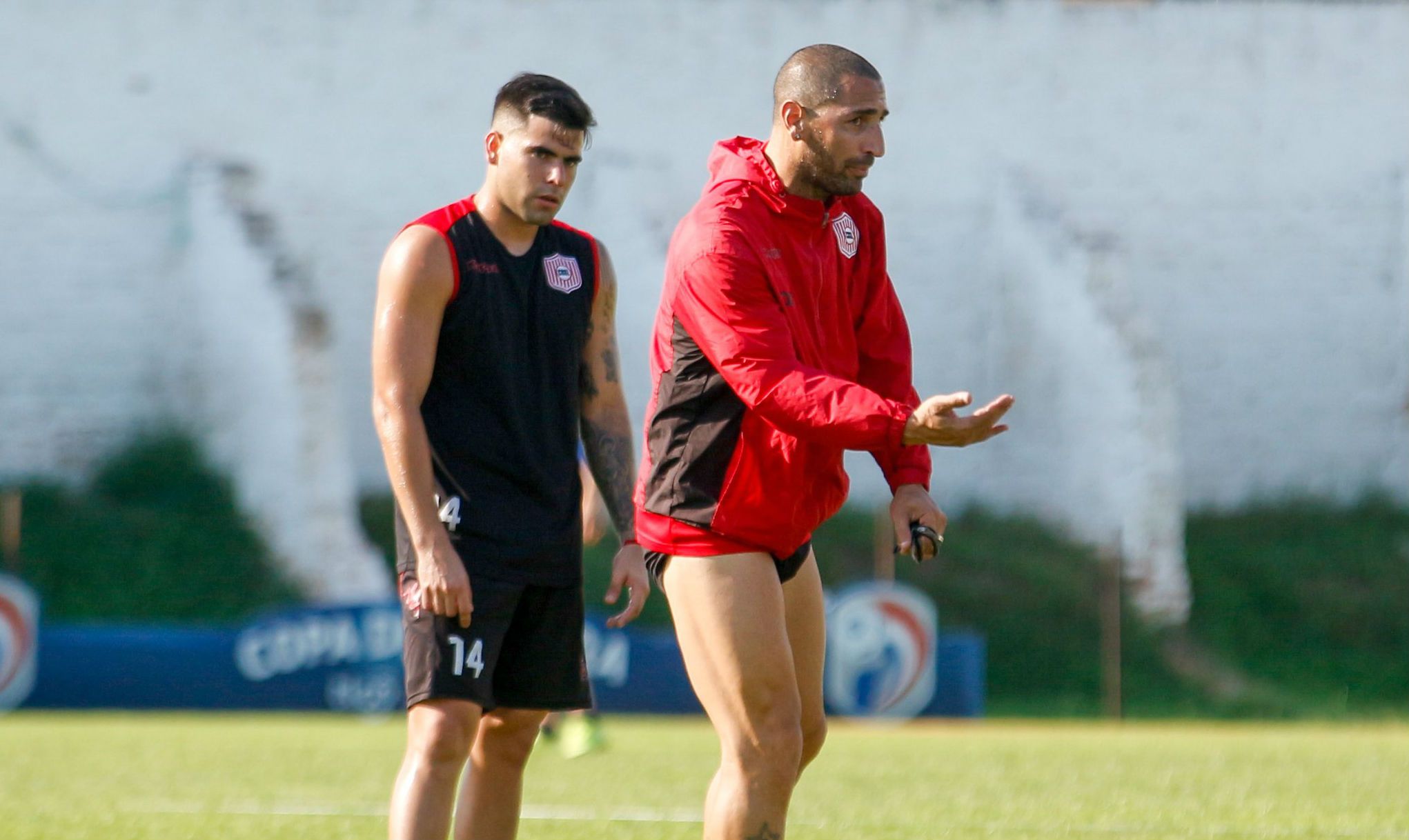 Rayadito (Paraguay) 25-11-19