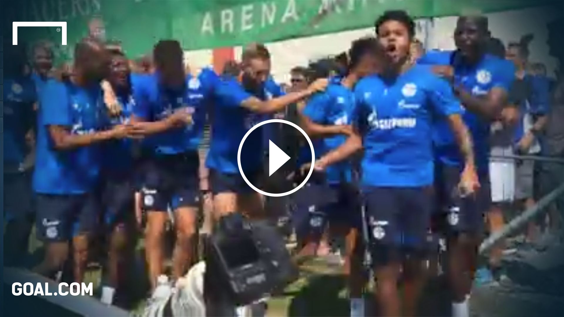 GFX Schalke Franco Di Santo