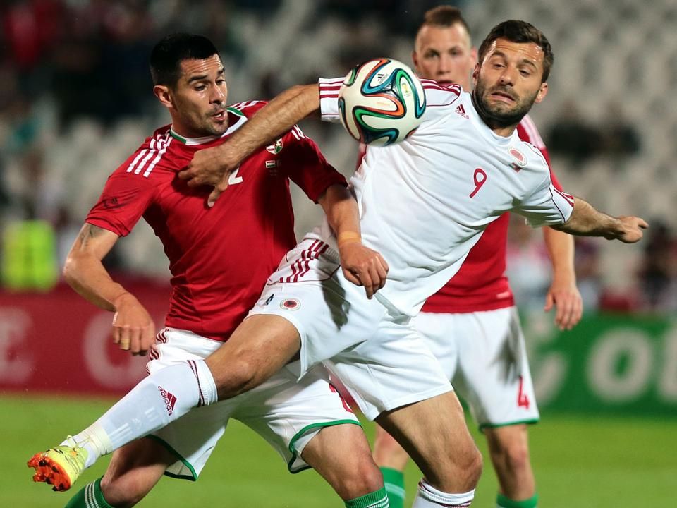 Bosnjak Predrag magyar válogatott