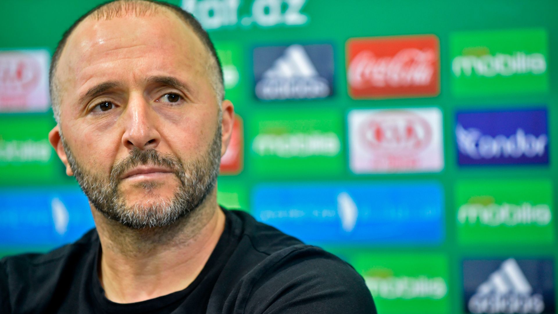 Djamel Belmadi Algeria