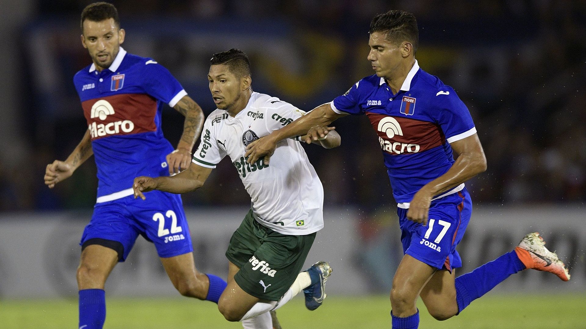 Tigre Palmeiras Copa Libertadores 2020