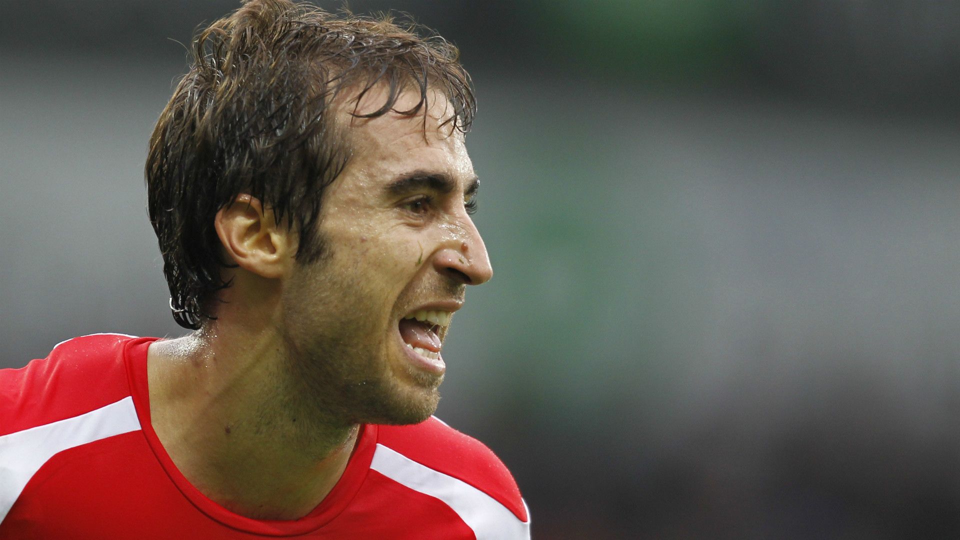 Mathieu Flamini Arsenal Premier League November 23 2014