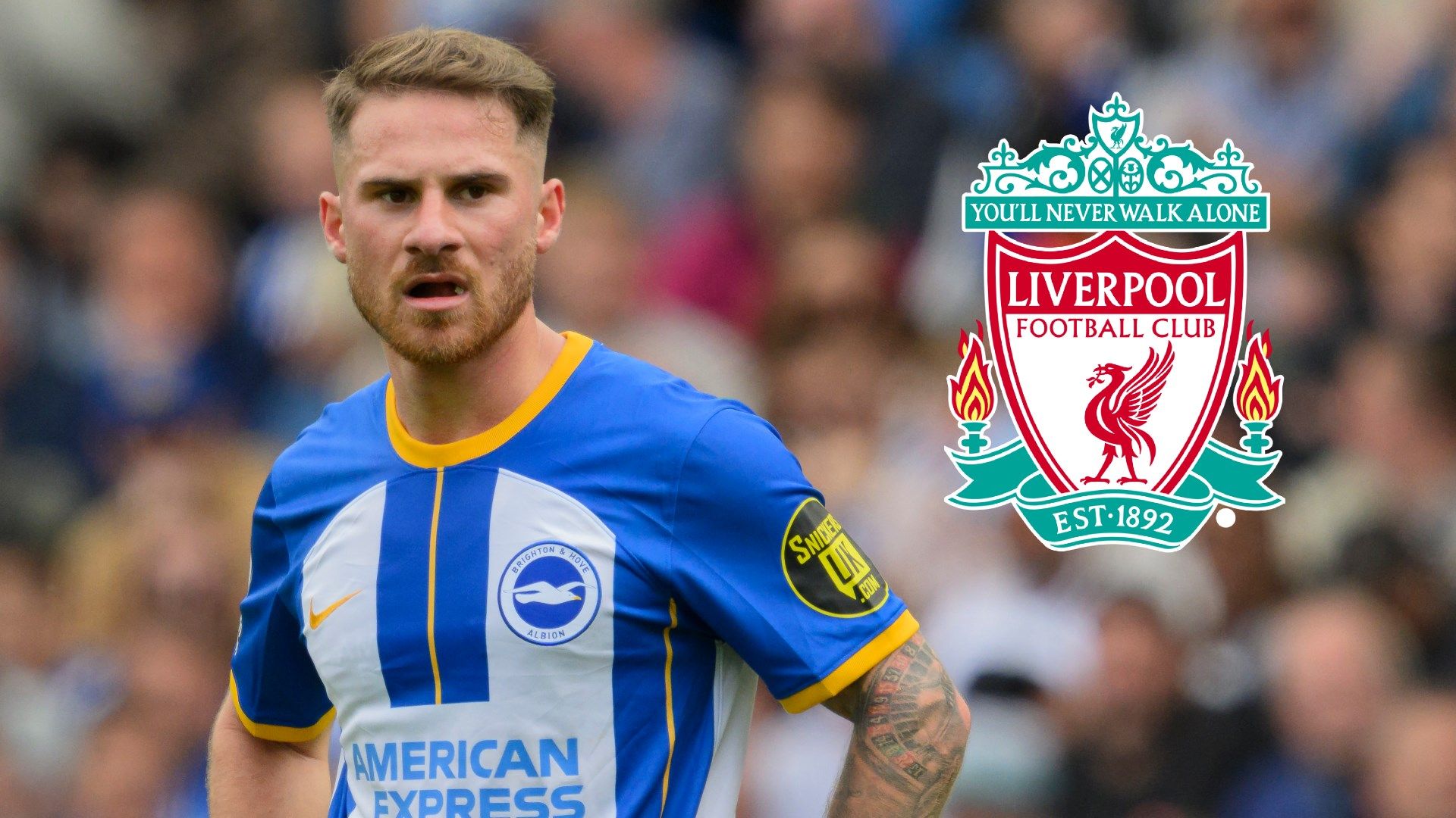 Alexis Mac Allister Liverpool badge 2022-23