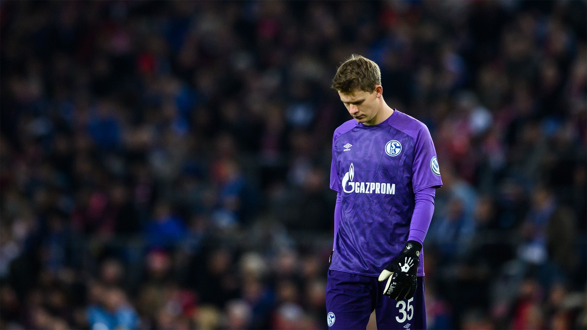 Alexander Nübel FC Schal 04 2018
