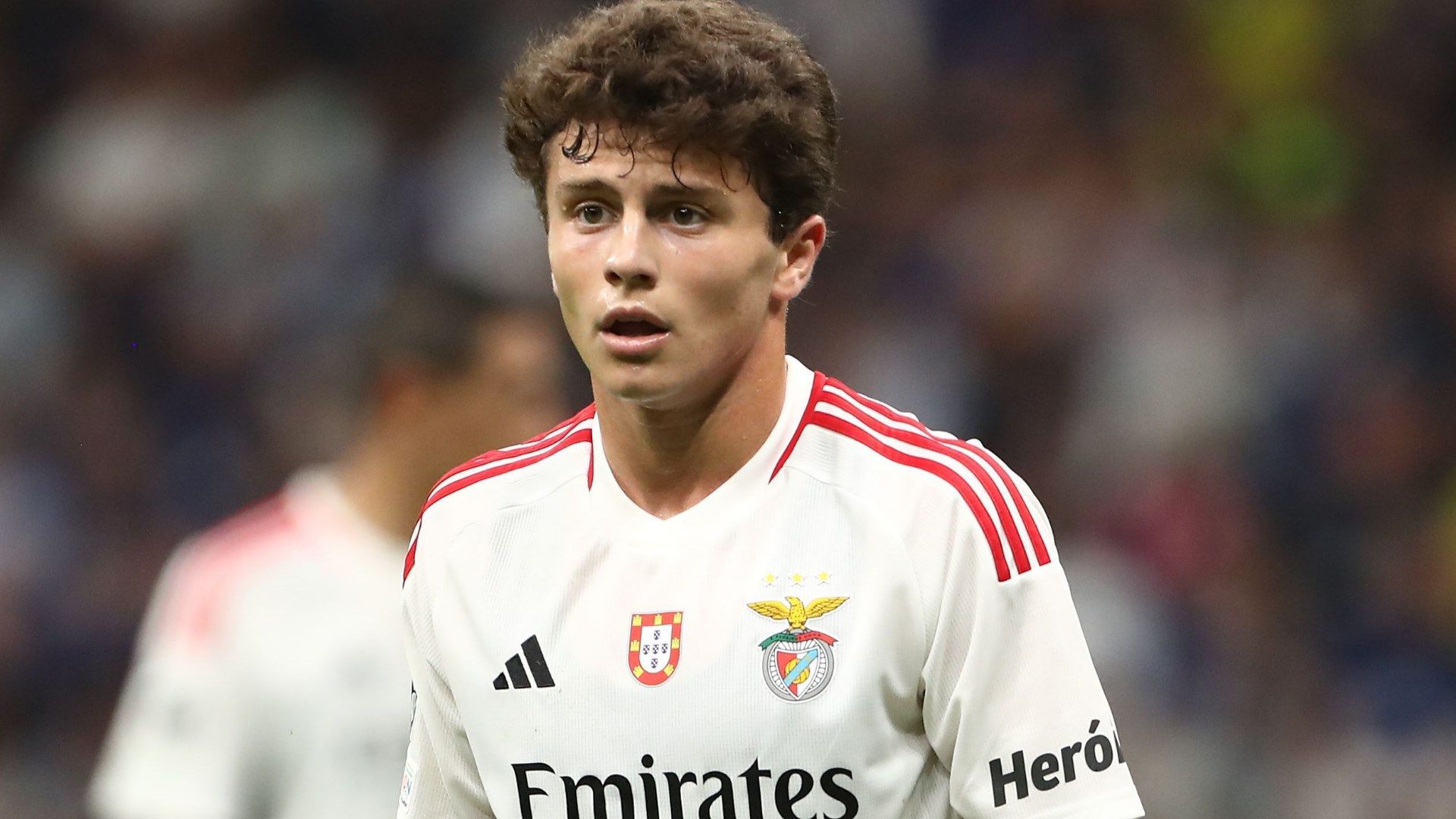 Joao-Neves-Benfica-2023-24