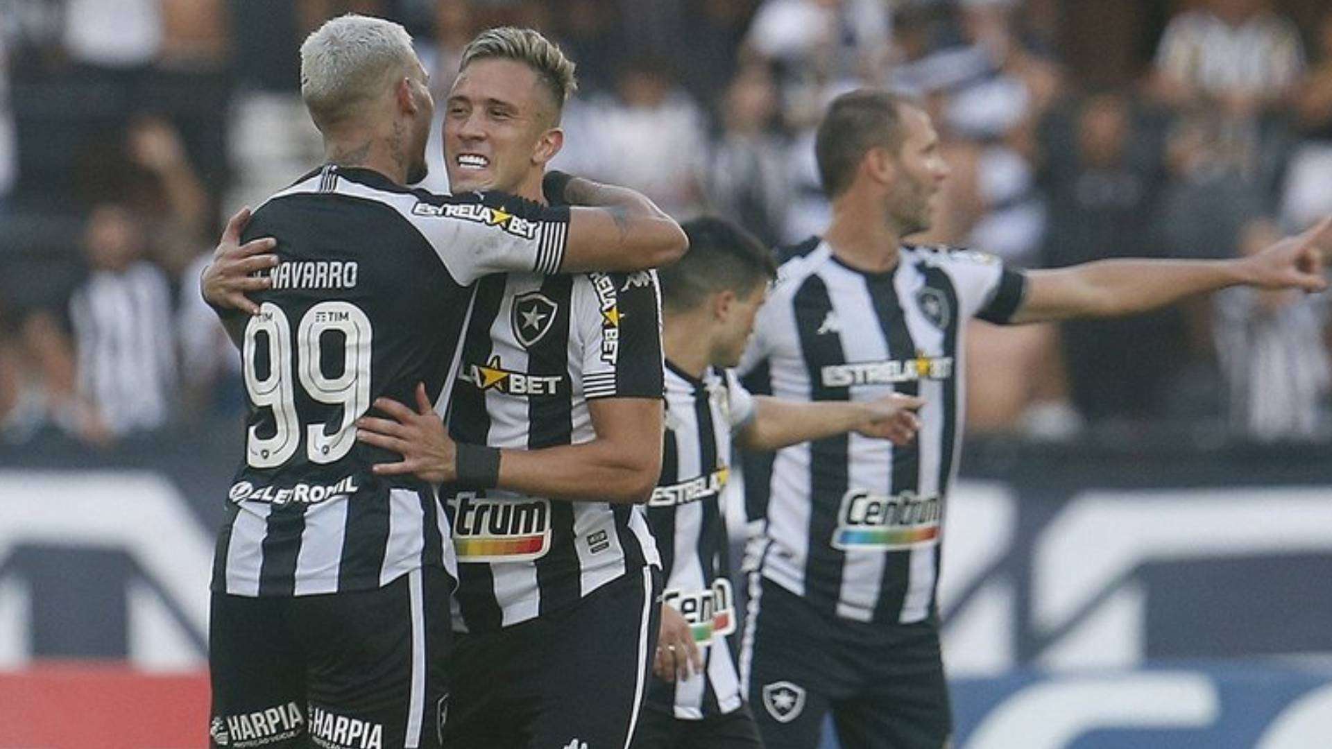 Jogadores do Botafogo comemoram na Série B