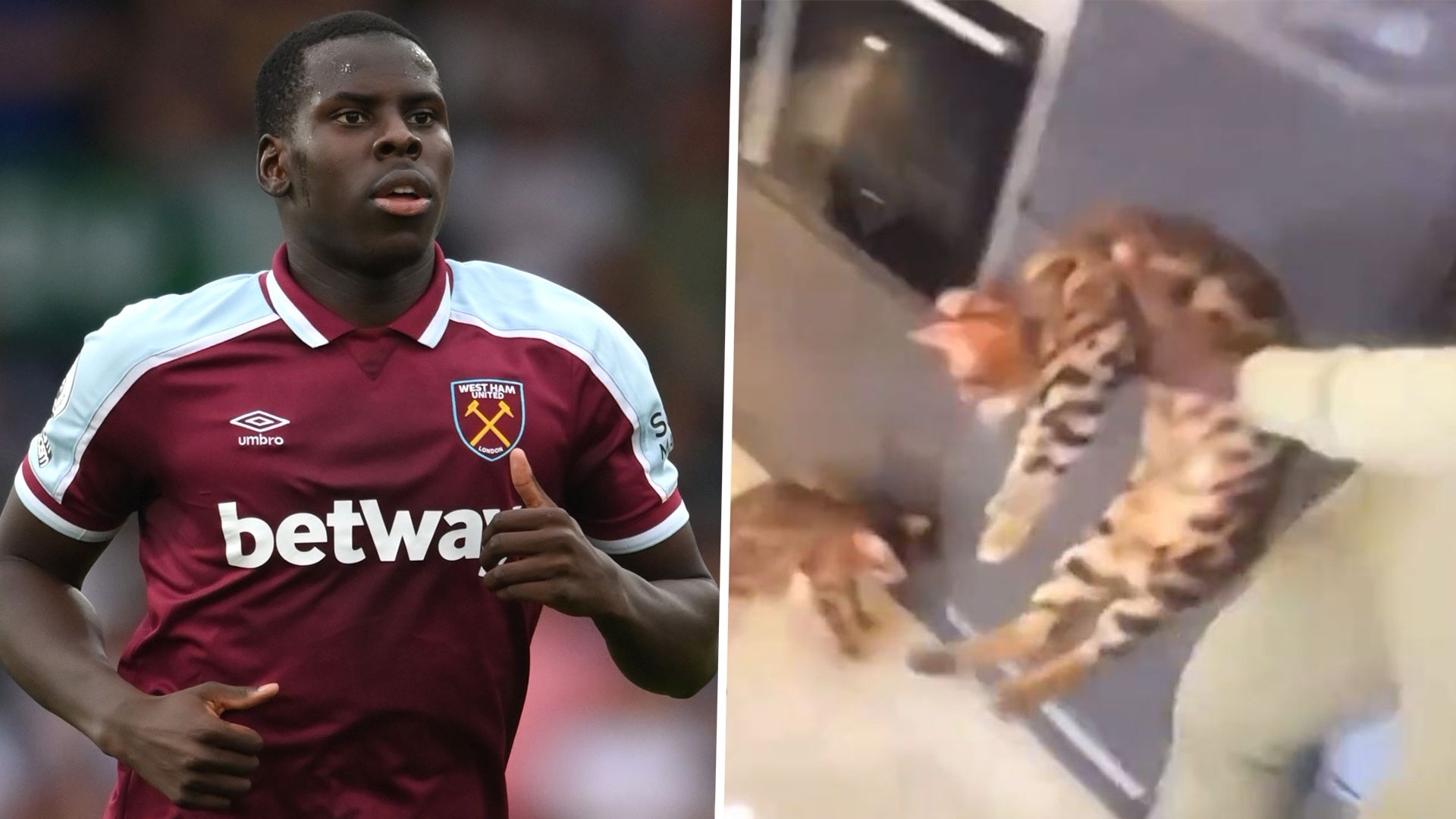 Kurt Zouma West Ham cat