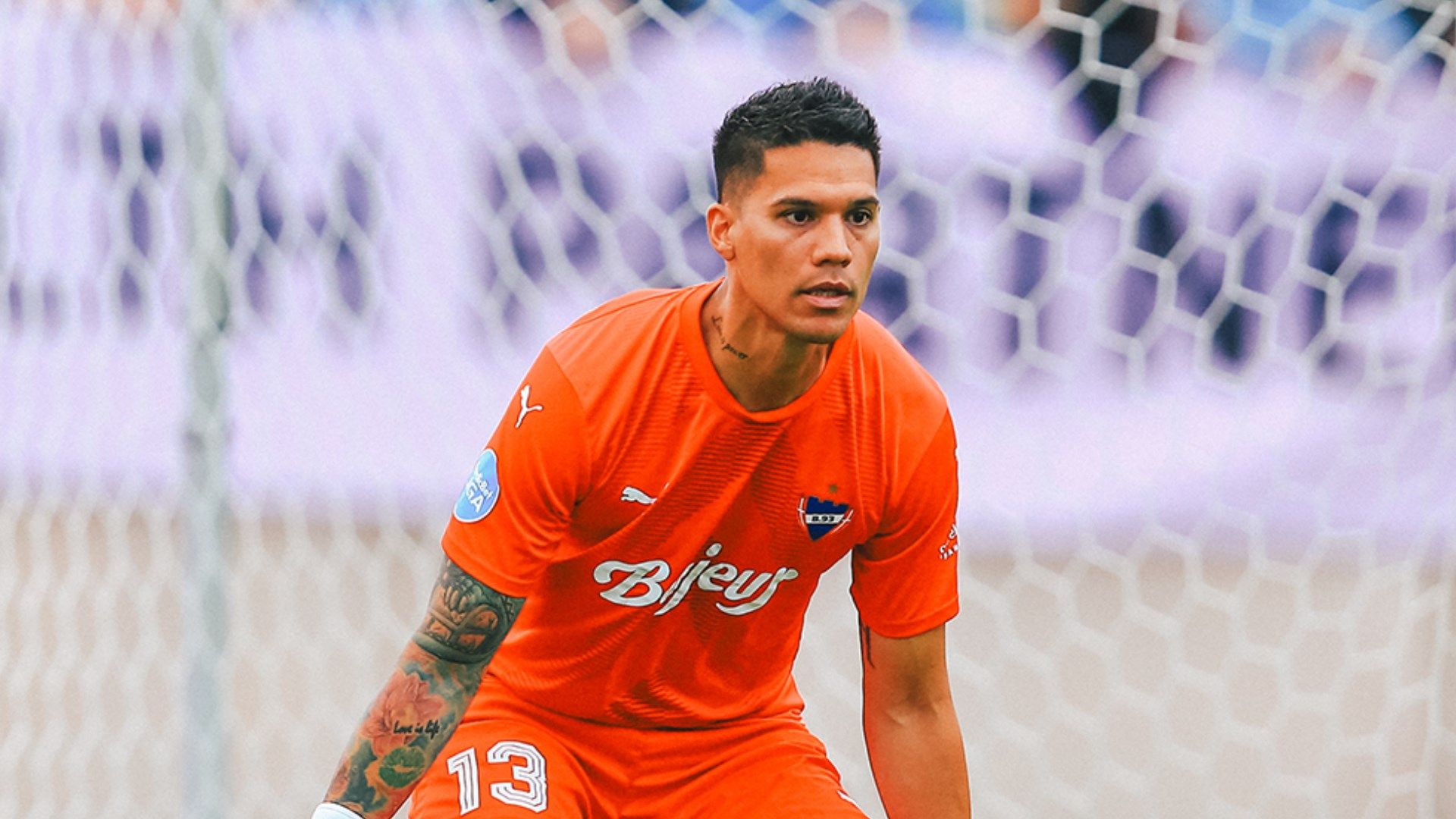 ไมเคิล ฟาลเคสการ์ด