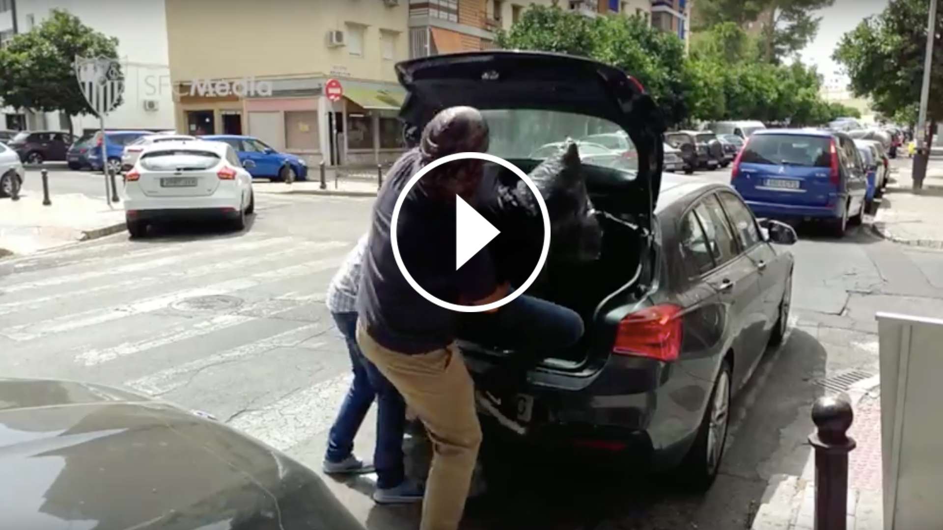 GFX Video Jesus Navas Sevilla