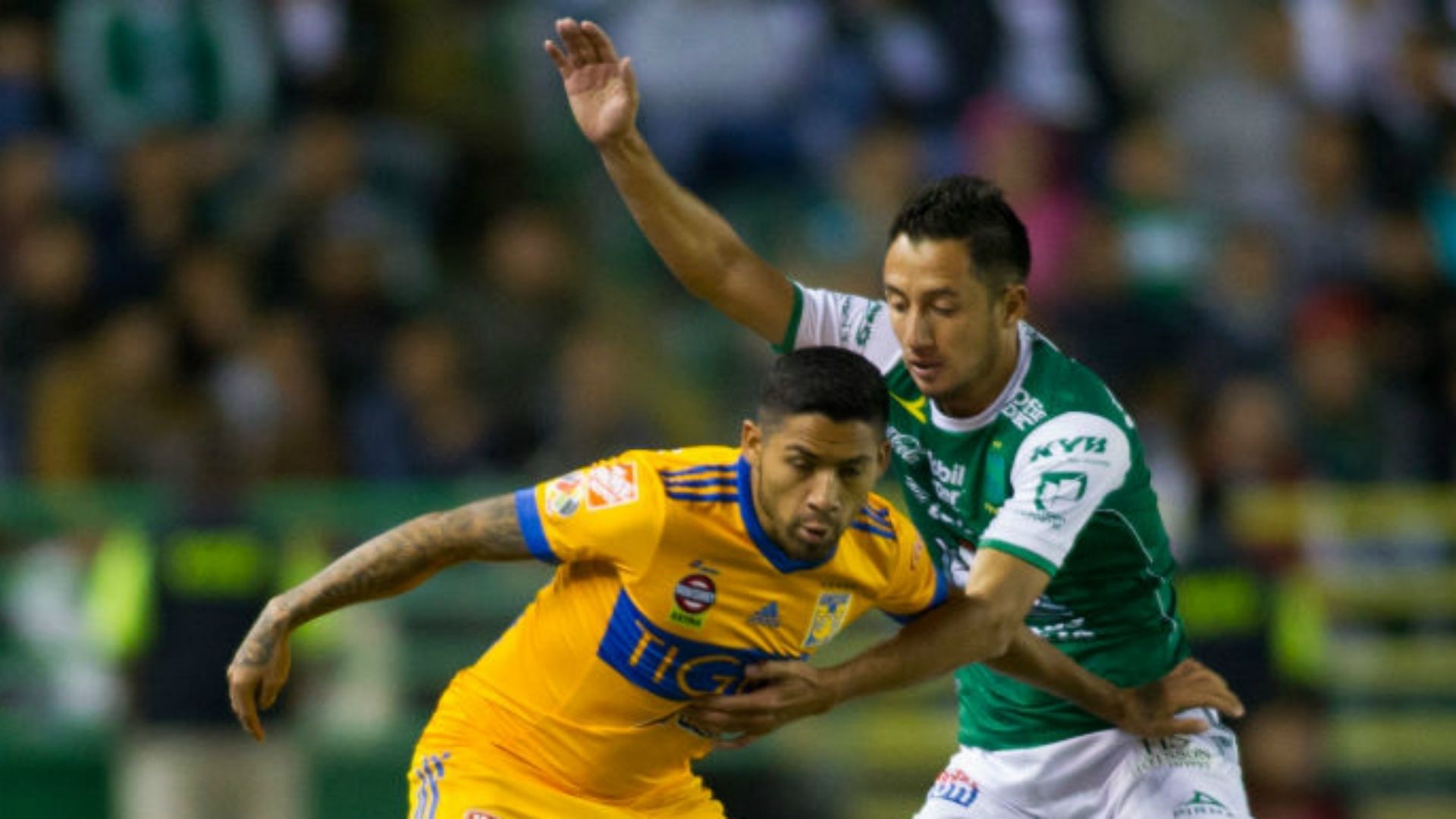 León Tigres