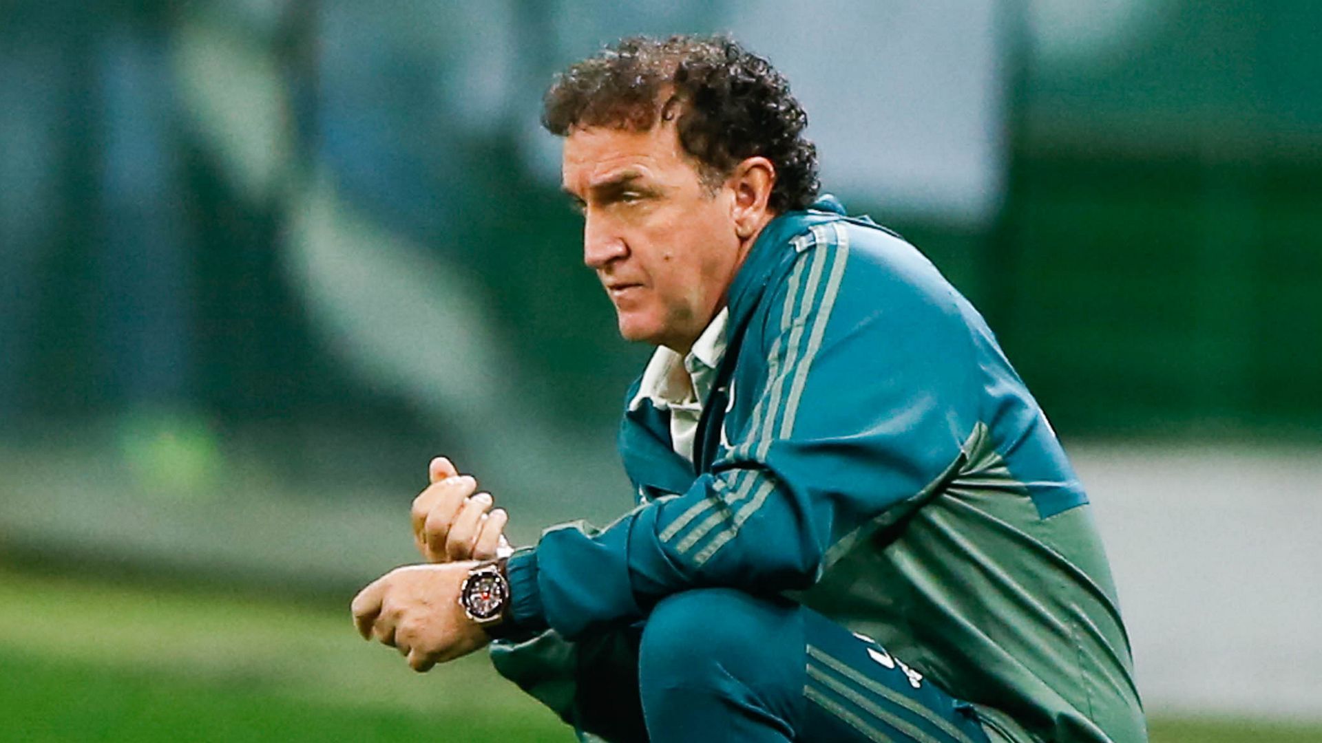 Cuca Palmeiras 20082017