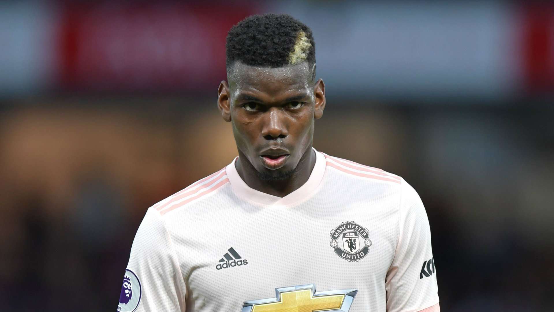 Paul Pogba Manchester United 2018-19