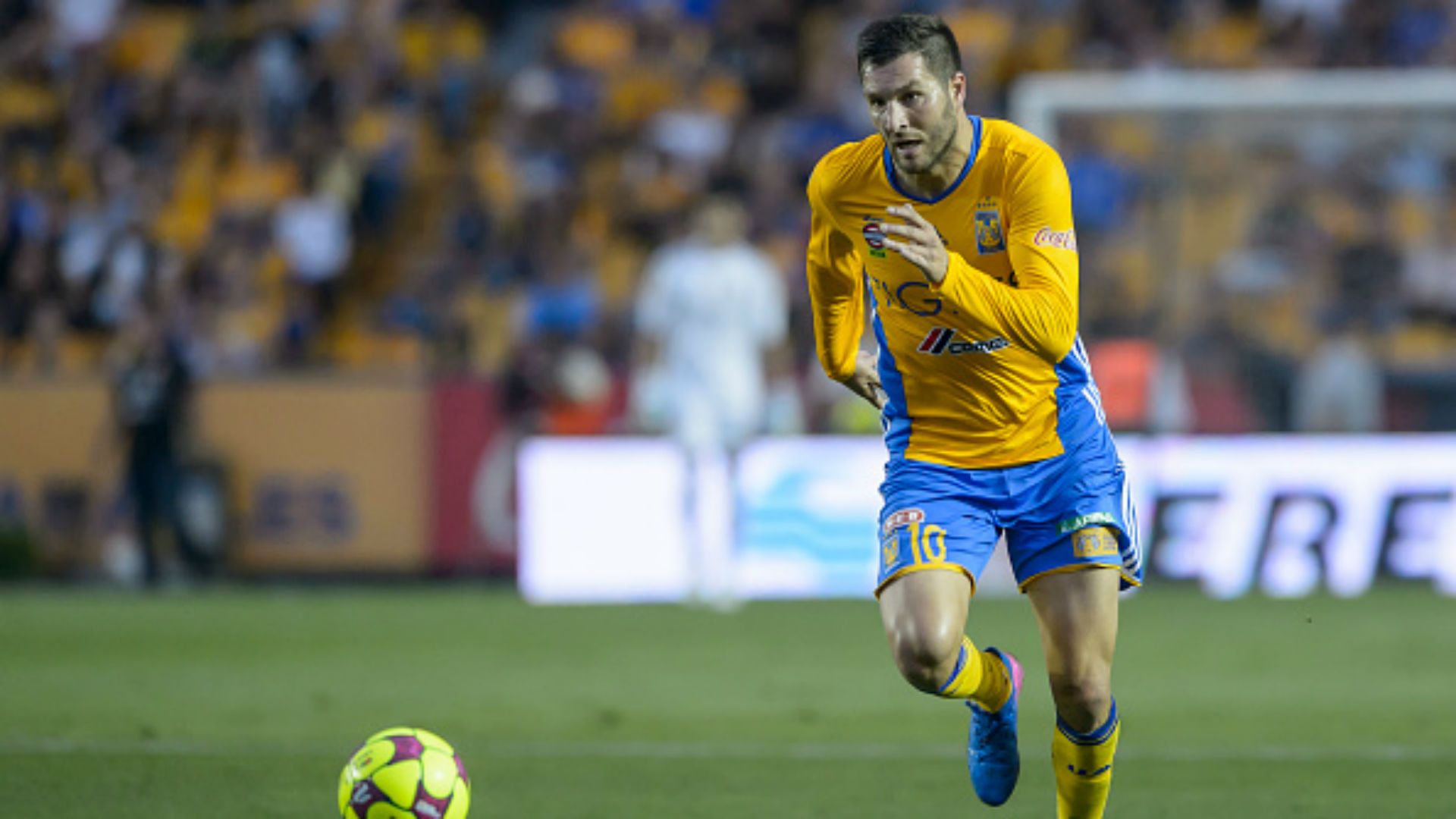 Andre Pierre Gignac Tigres Liga MX Mexico Clausura 2017
