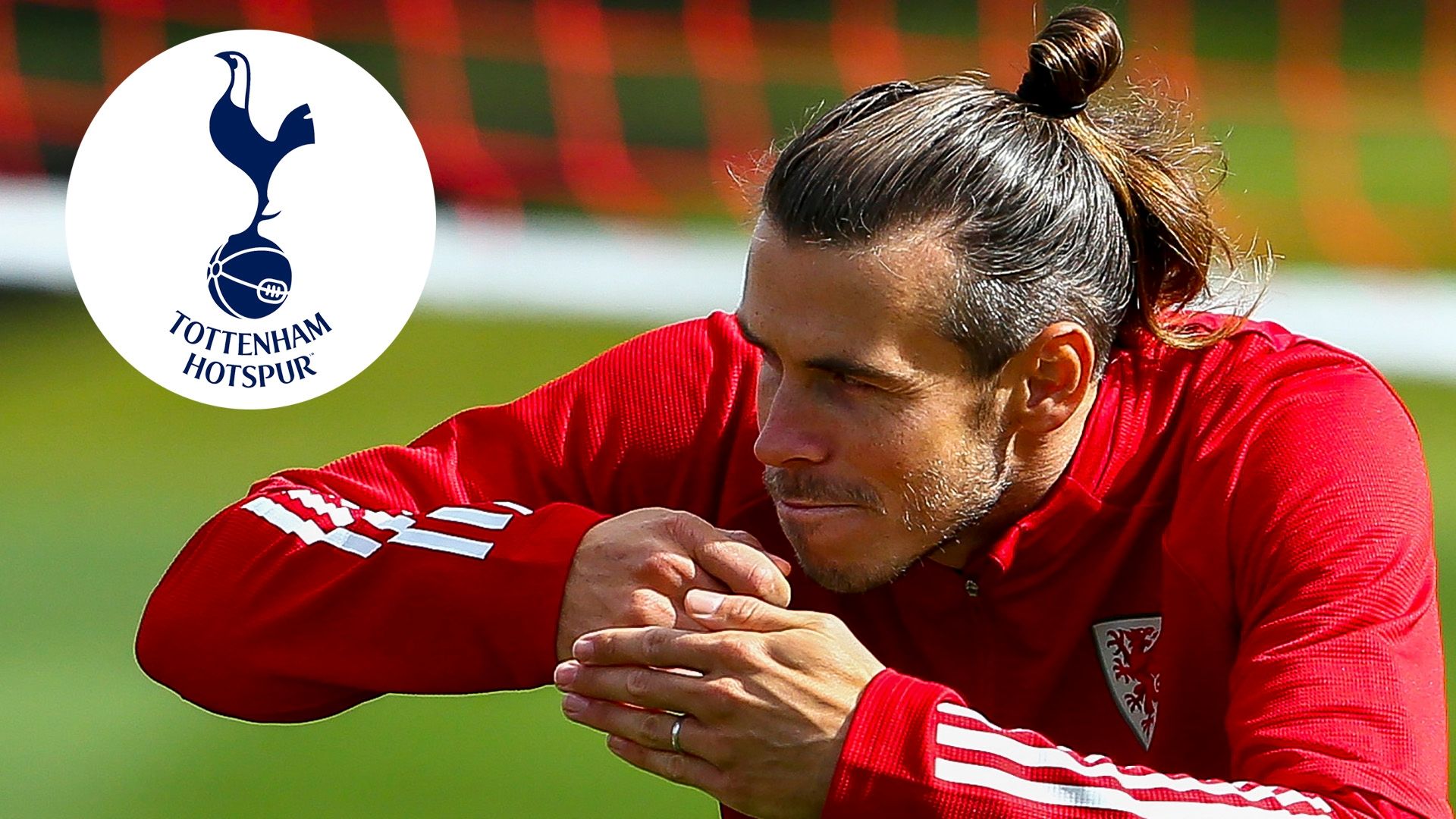 Gareth Bale Wales Tottenham