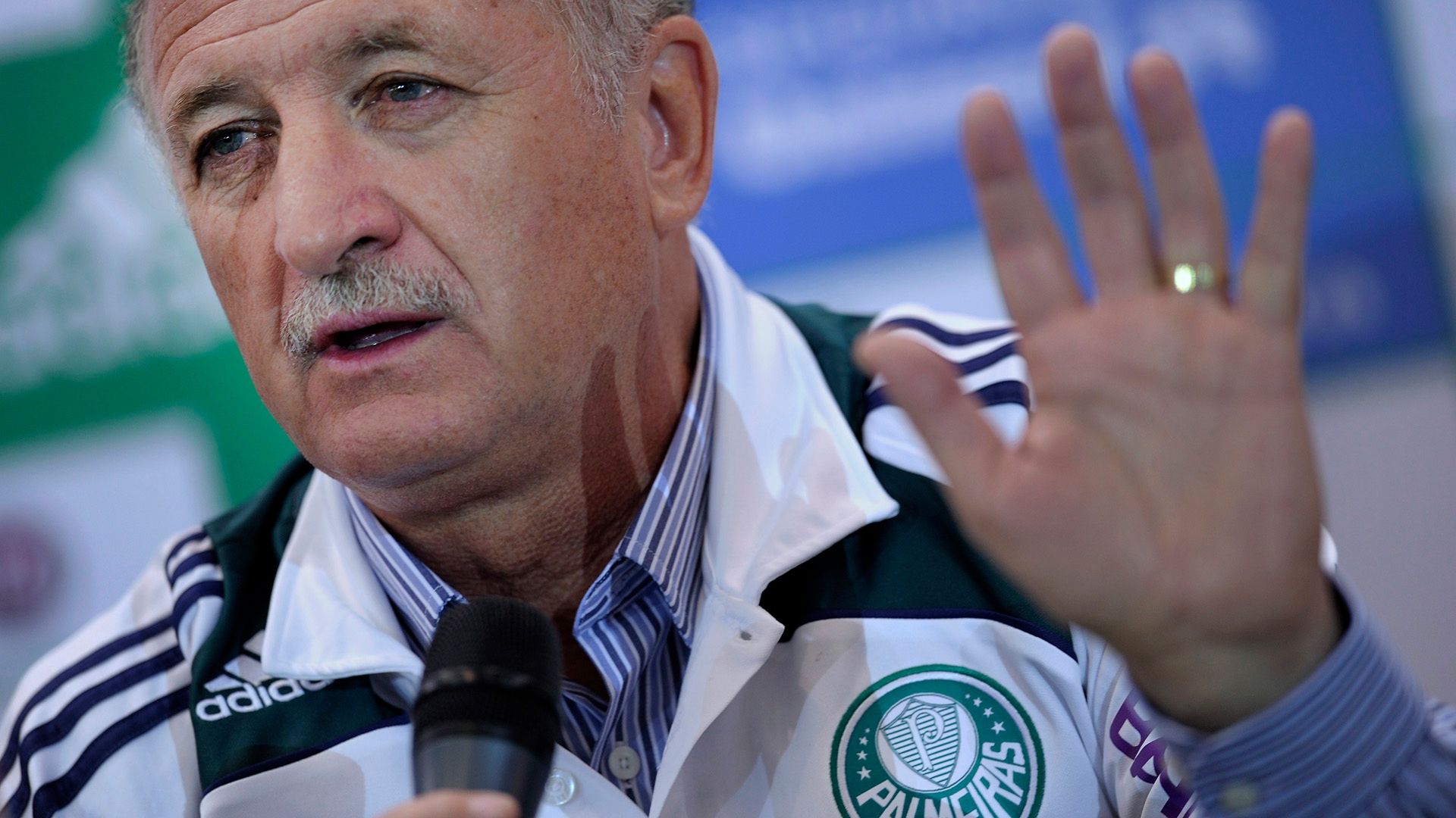Luiz Scolari 2010 Palmeiras Felipao