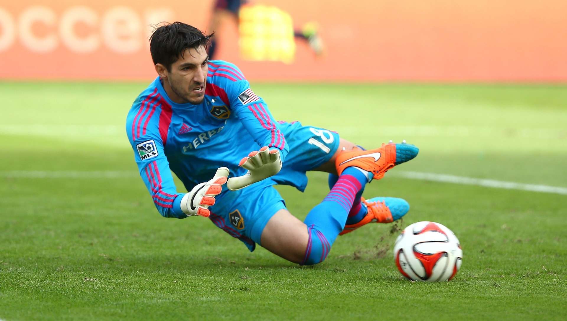 Jaime Penedo LA Galaxy MLS Cup 12072014