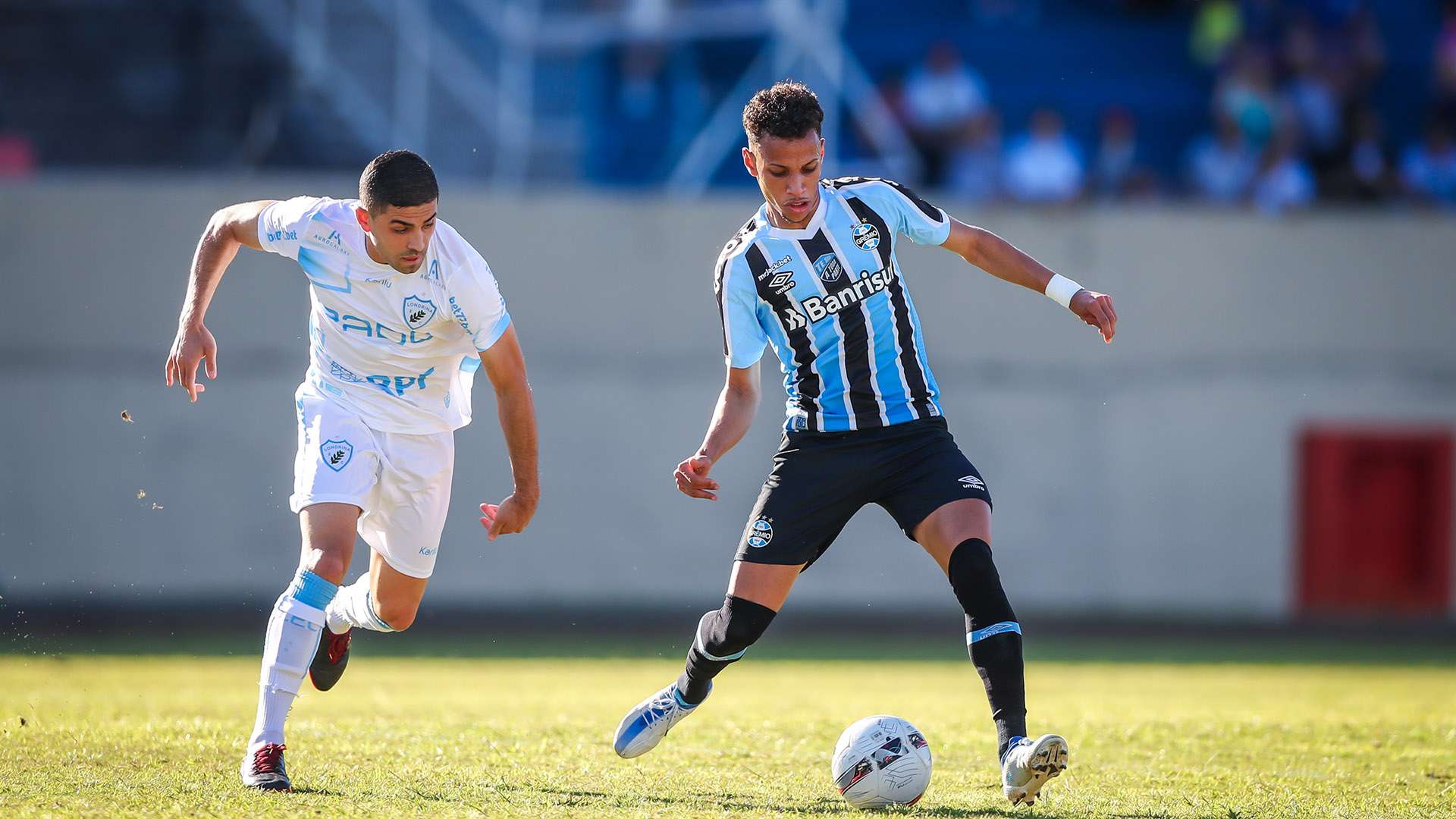 Bitelo, Londrina x Grêmio, Série B, 08102022