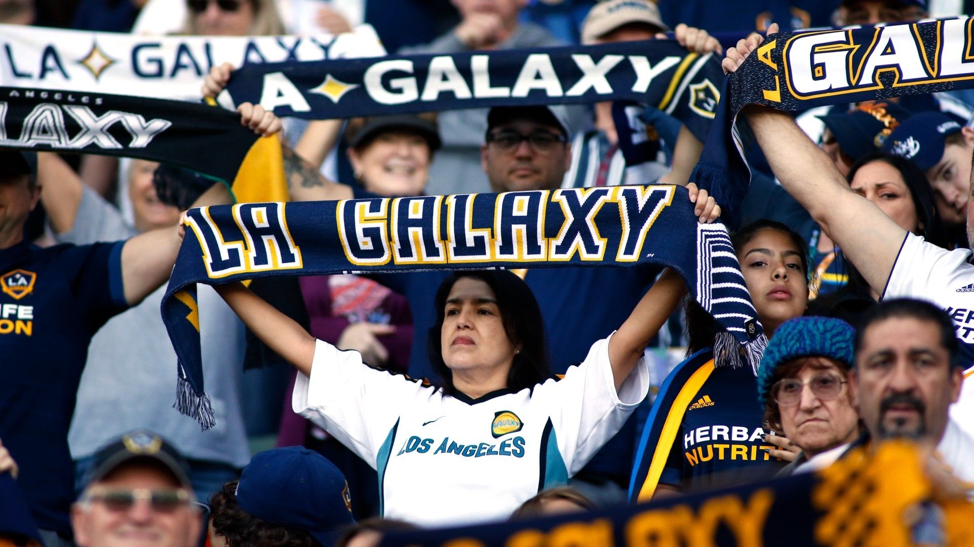 LA Galaxy fans