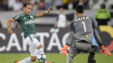 Guerra Gatito Fernandez Botafogo Palmeiras 16042018 Brasileirao Serie A