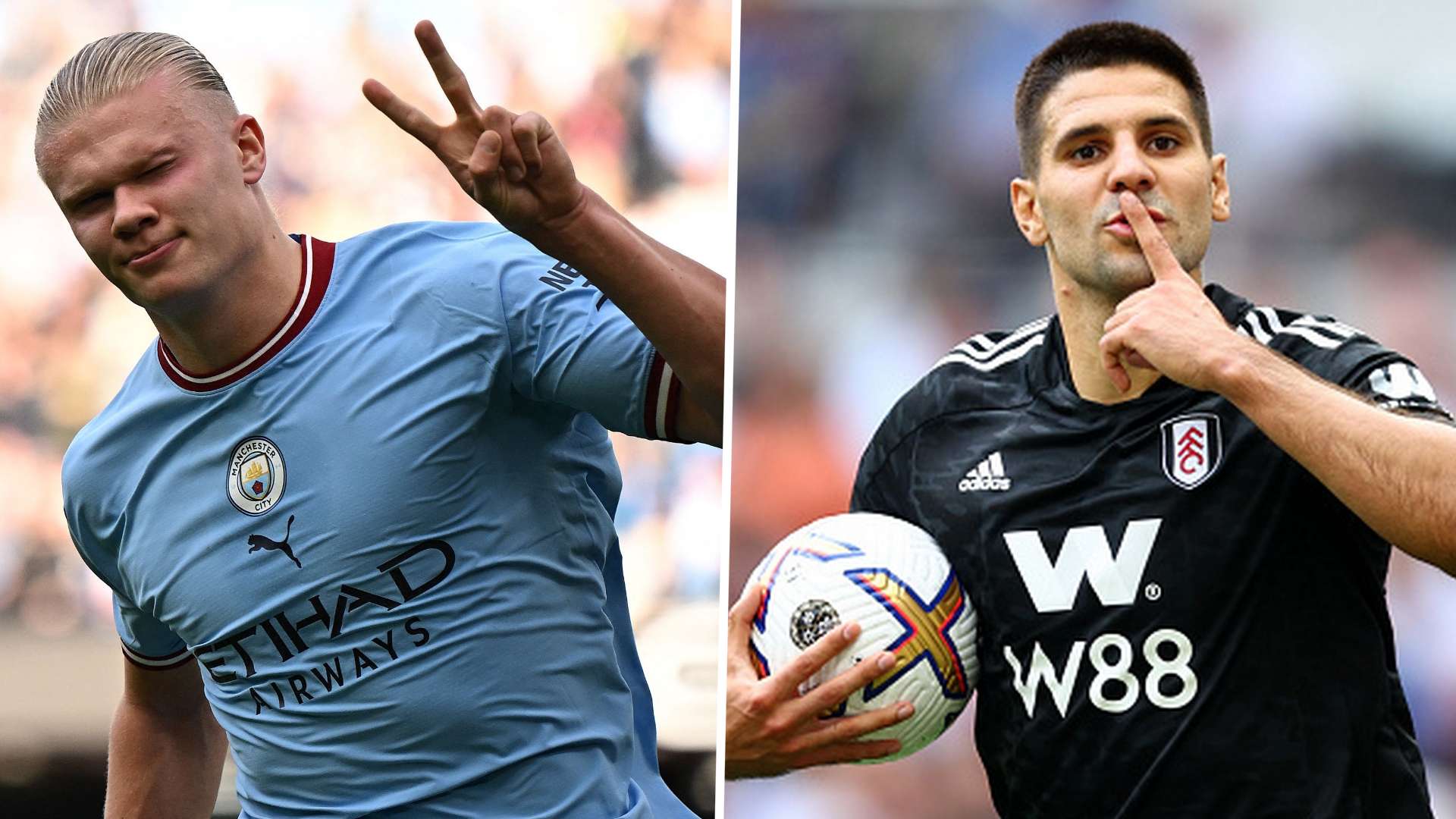 Erling Haaland Aleksandar Mitrovic