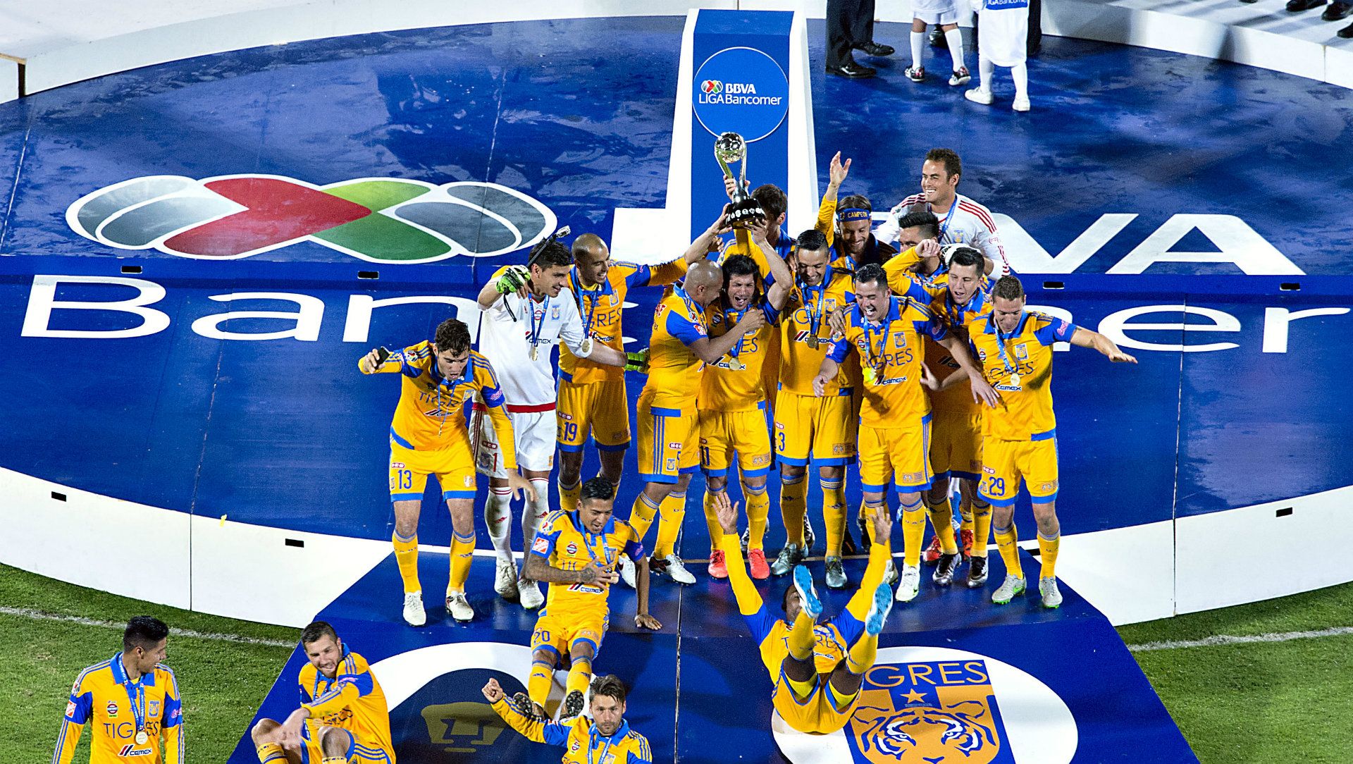 Tigres Campeón