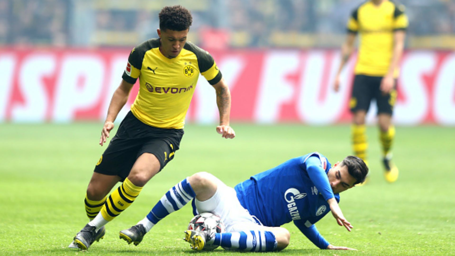 Borussia Dortmund Schalke 04 Bundesliga