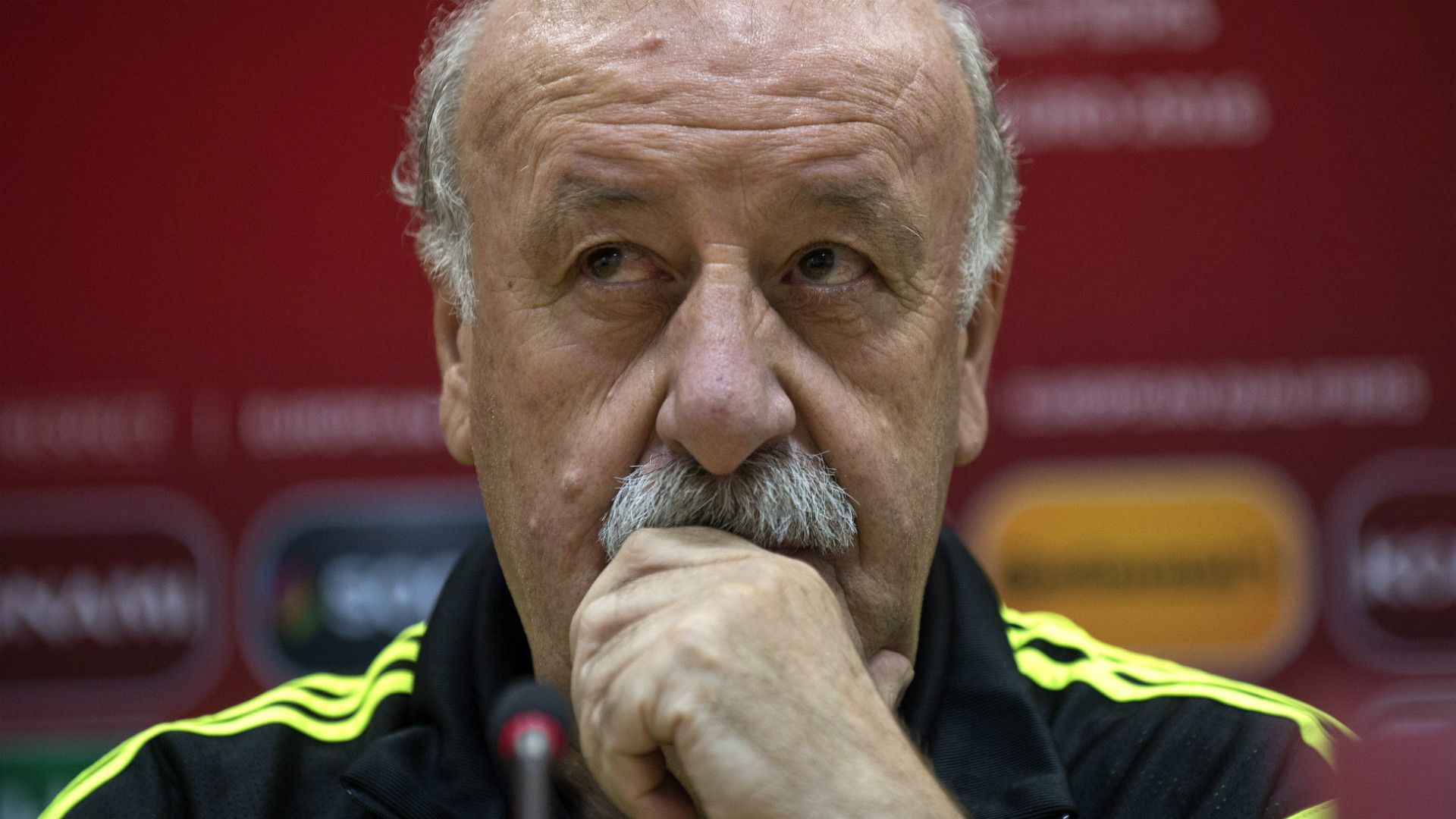 Vicente del Bosque Spain