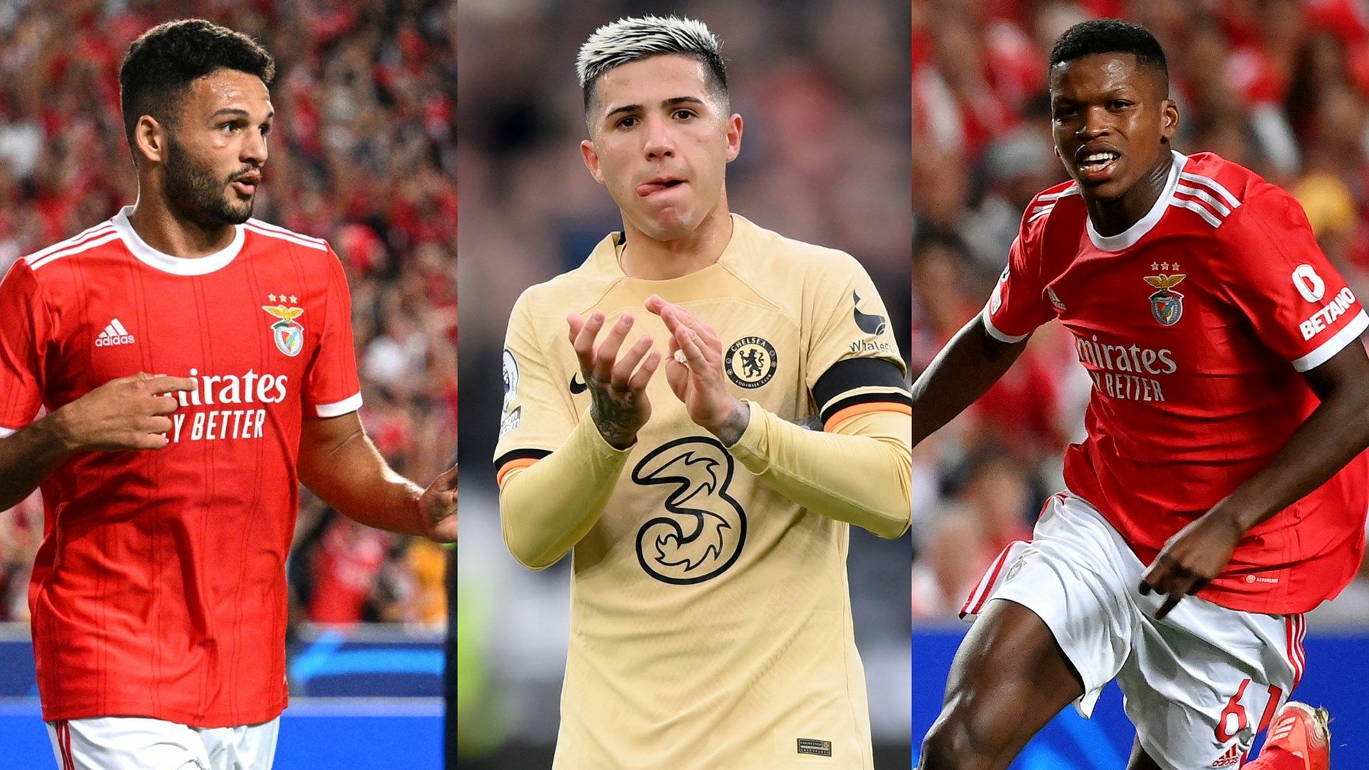 Ramos Fernandez Florentino Benfica GFX