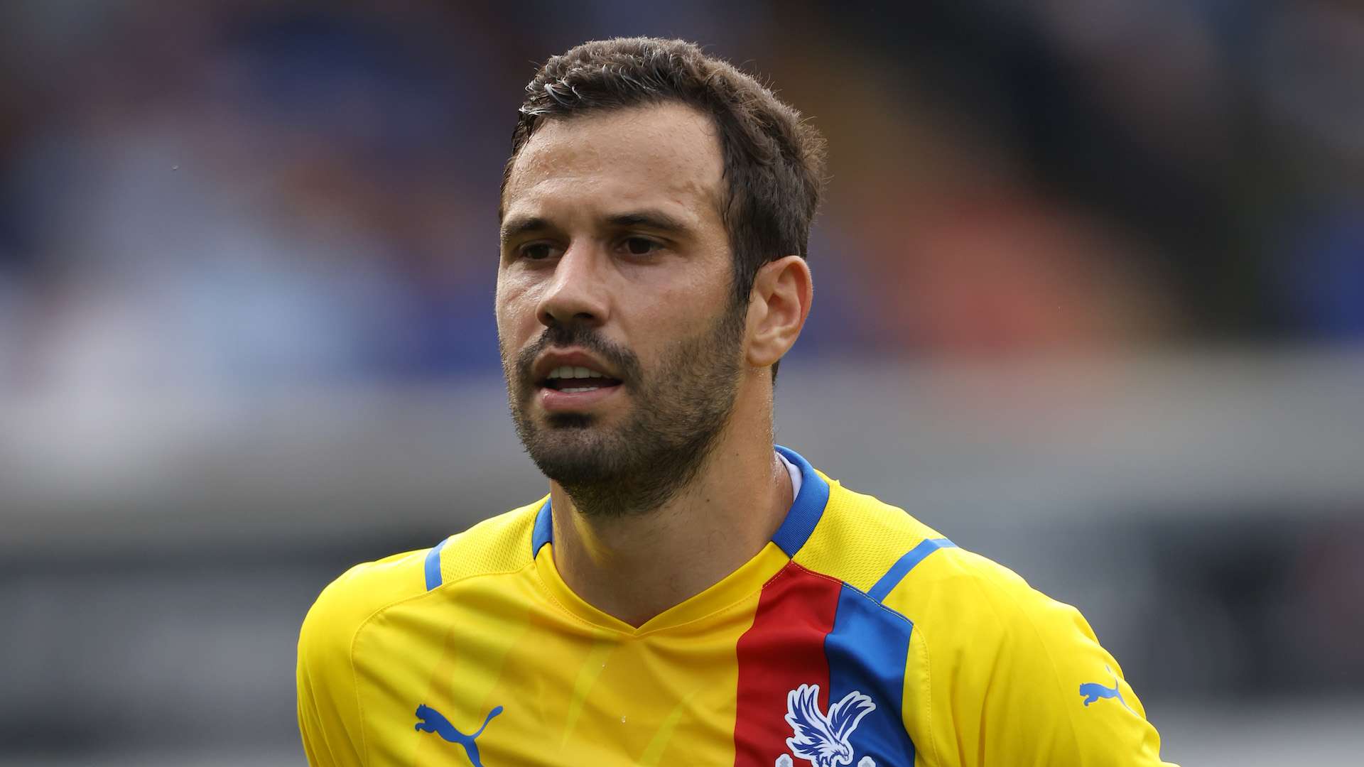Luka Milivojevic - Crystal Palace