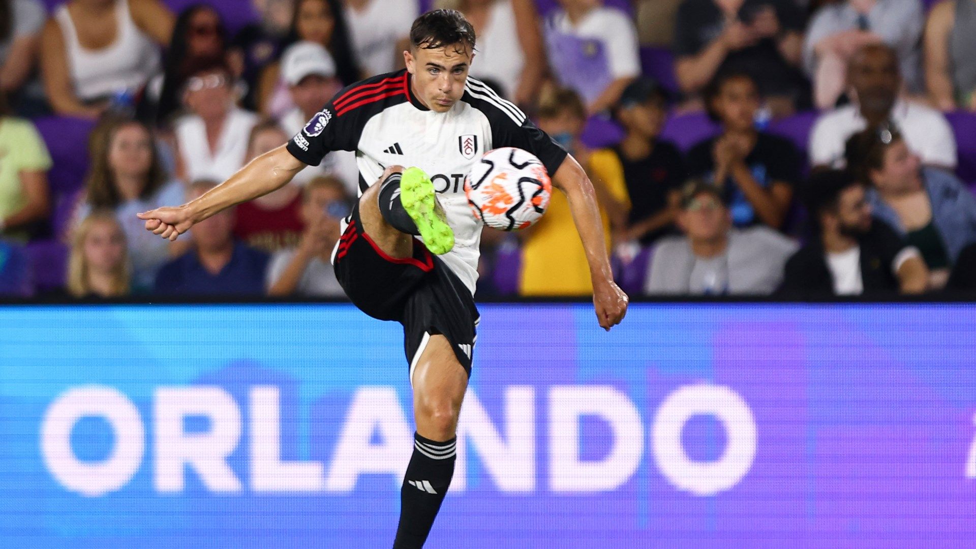 Luke Harris Fulham 2023-24