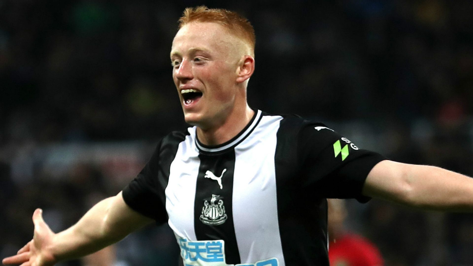 Matty Longstaff Newcastle 2019-20