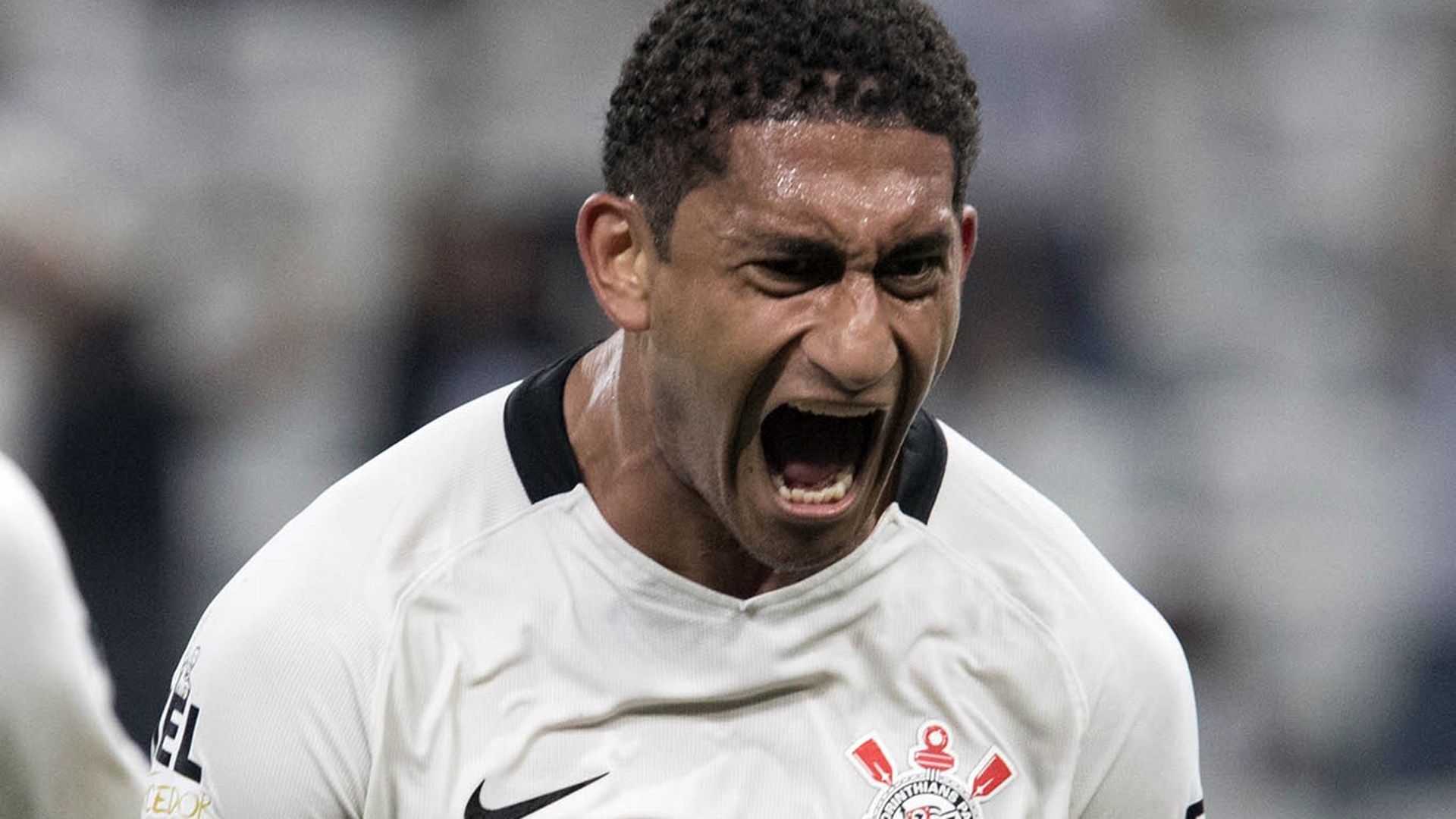 Pablo Corinthians Novorizontino Paulista 15022017