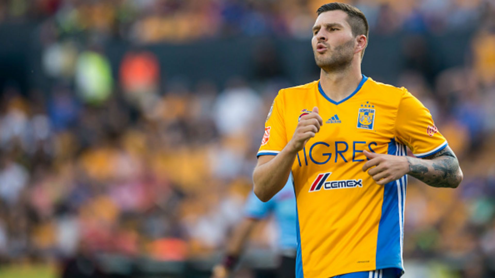 Andre-Pierre Gignac Tigres UANL Mexico Liga MX Clausura 2017
