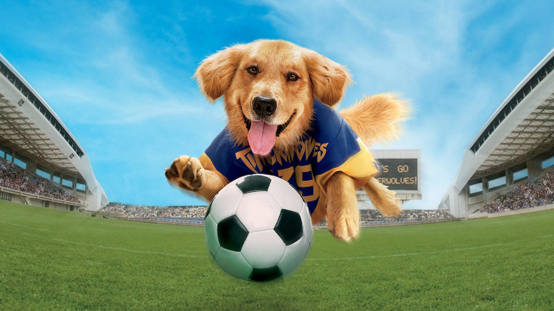 Air Bud: World Pup