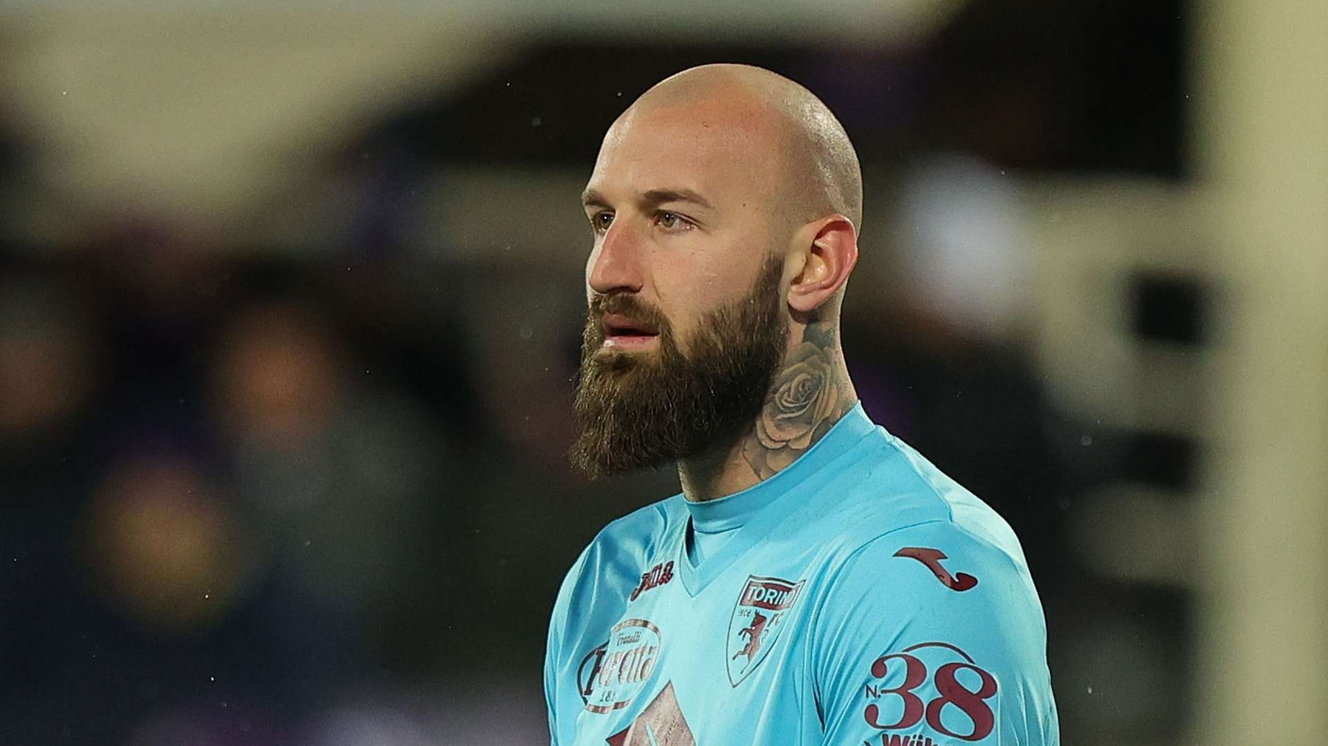 vanja milinkovic-savic