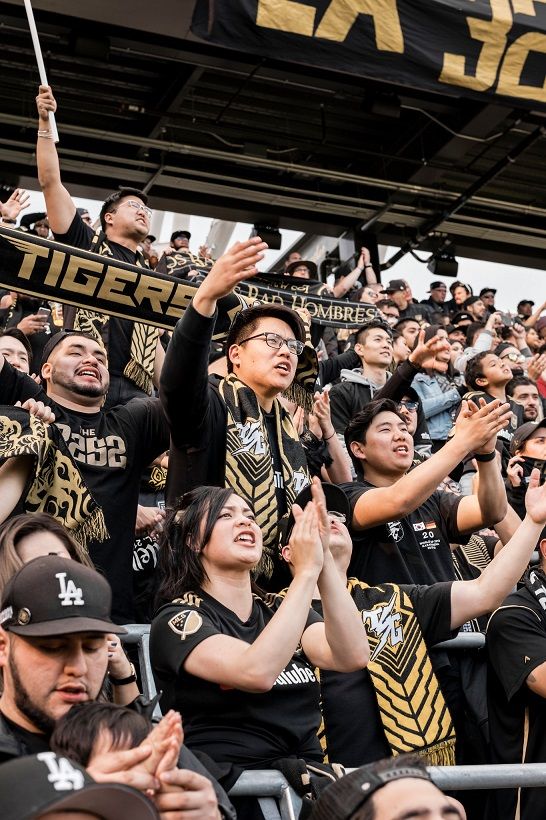 Tigers Supporters Group