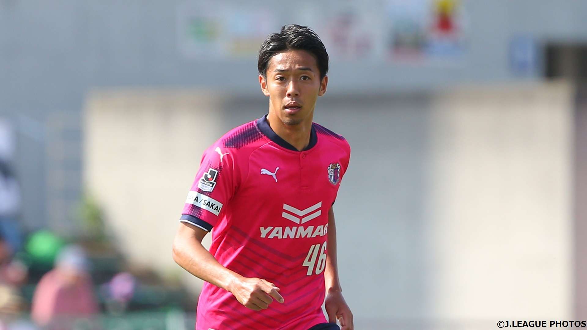 2017-05-17-cerezo-kiyotake