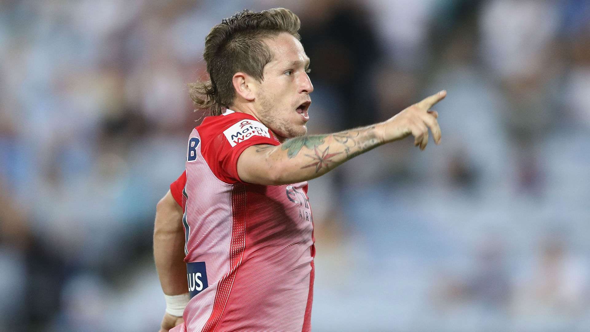 Fernando Brandan Melbourne City 09122016