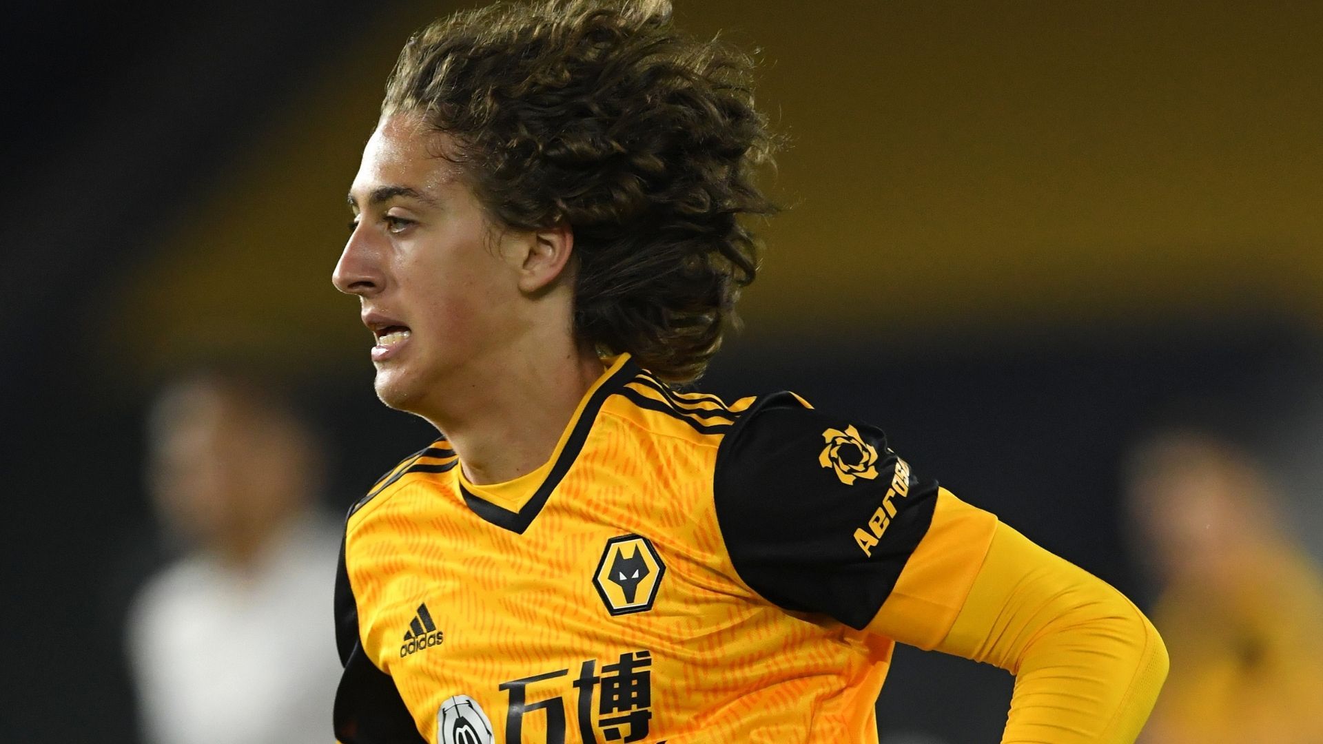 Fabio Silva Wolves