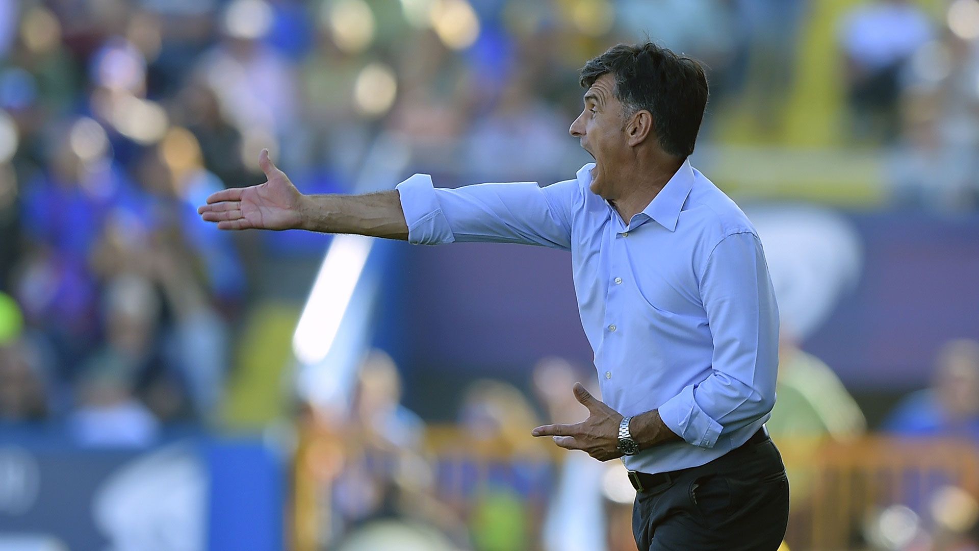 Jose Luis Mendilibar